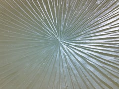 Plaque murale concave contemporaine en blanc nacré par Ghiró Studio