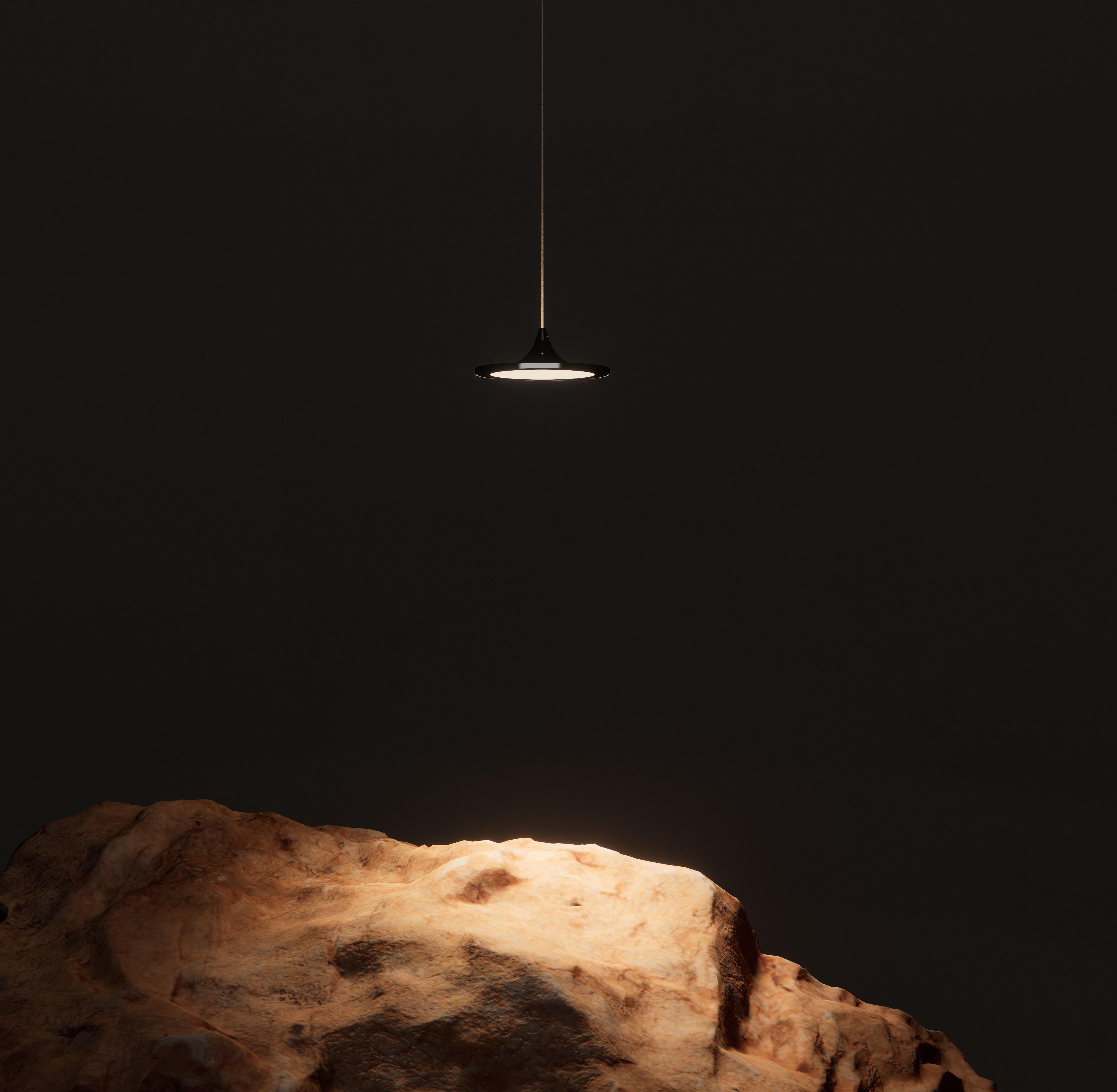 Contemporary Pendant Lamp 'Luna' Inox by Zieta For Sale at Contemporary Pendant Lamp 'Luna' Inox by Zieta For Sale at