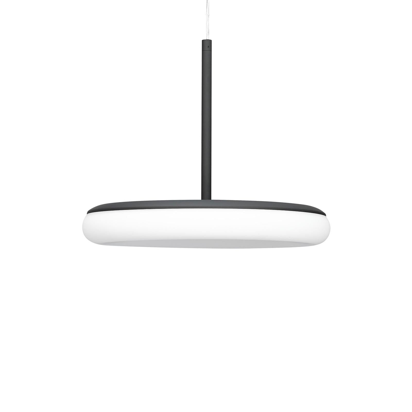 Organic Modern Contemporary Pendant Lamp 'Mozzi' by AGO 'Large, Charcoal' For Sale