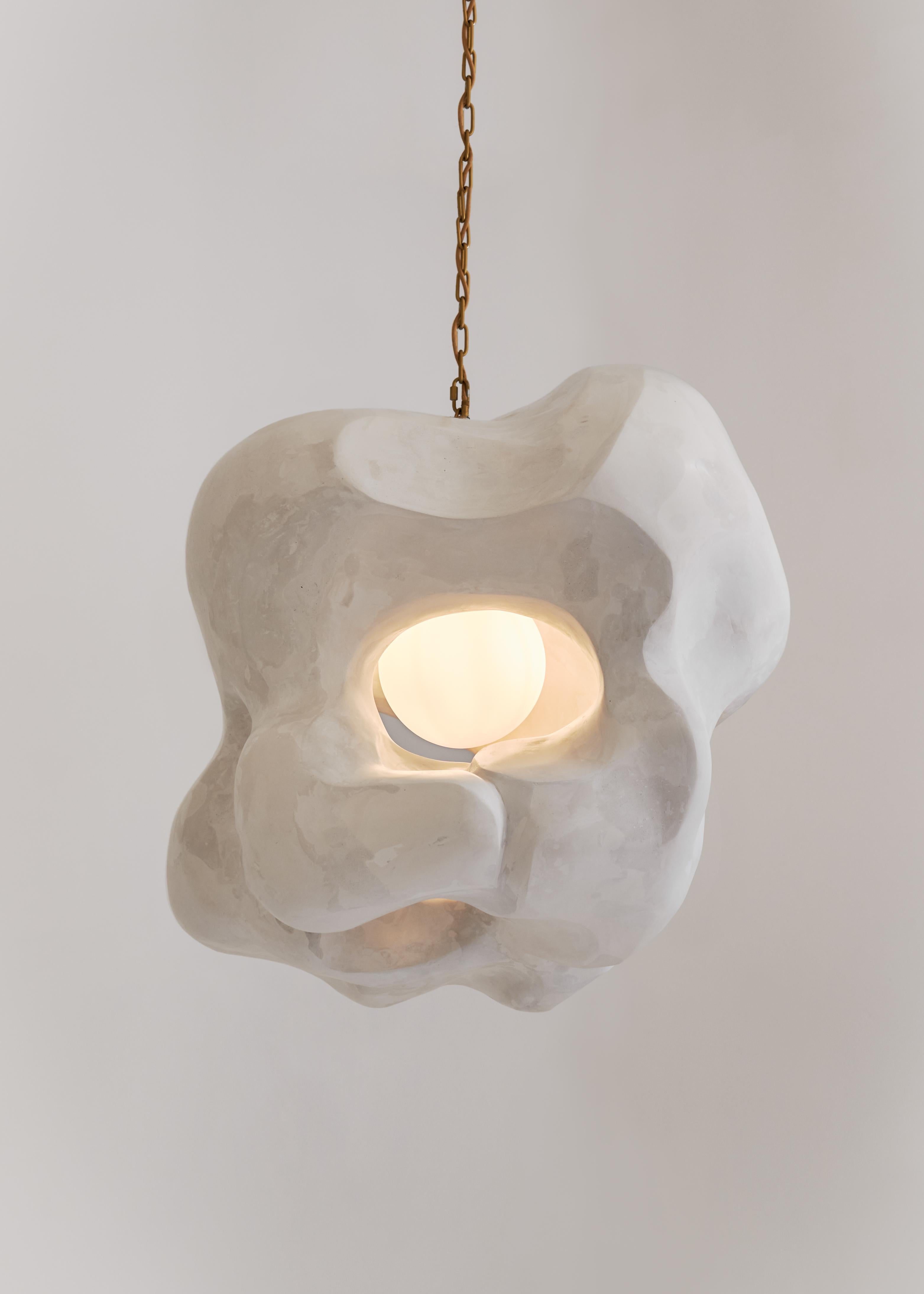 Organic Modern Contemporary Pendant Light, Sculptural Collectible Design 