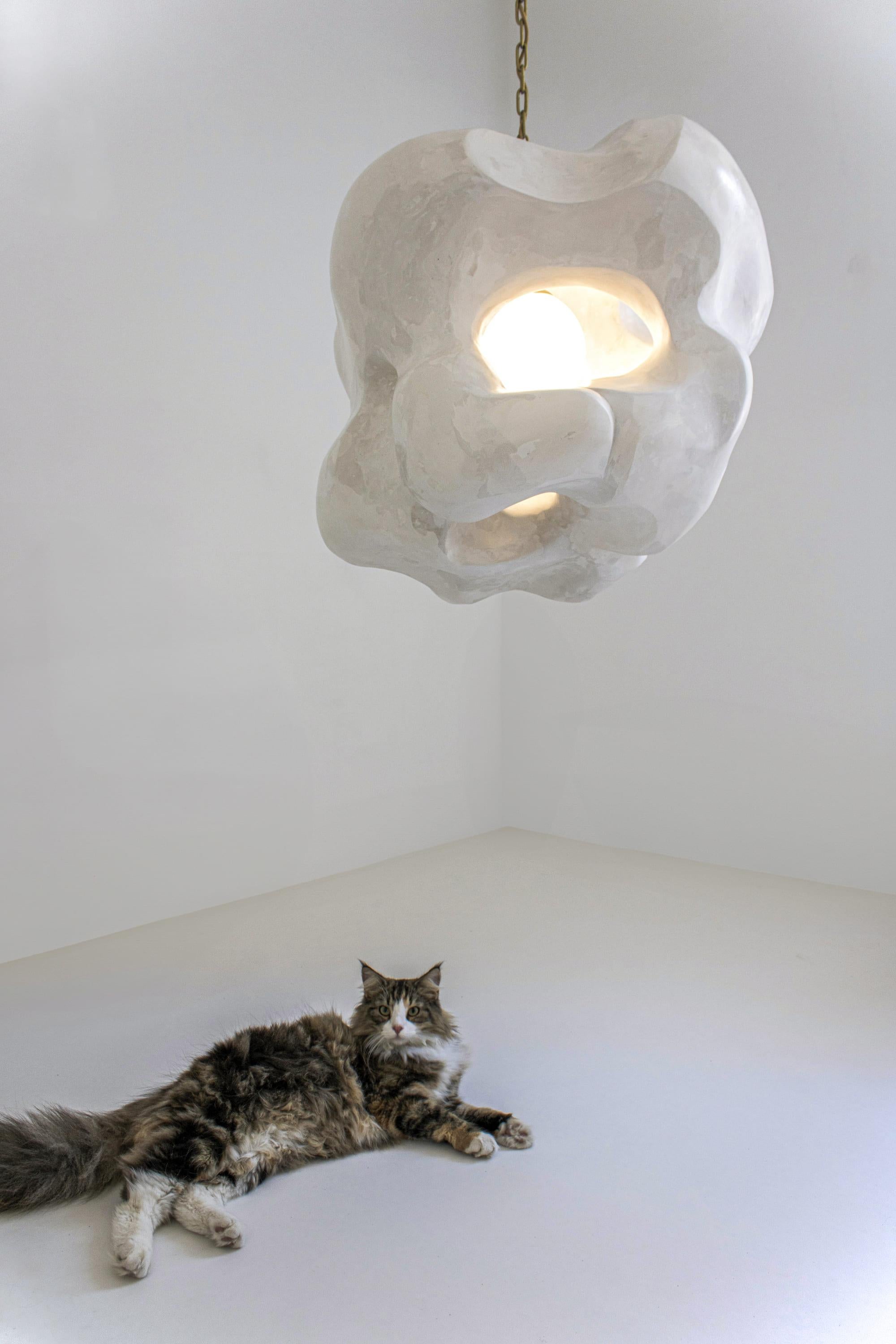 Contemporary Pendant Light, Sculptural Collectible Design 