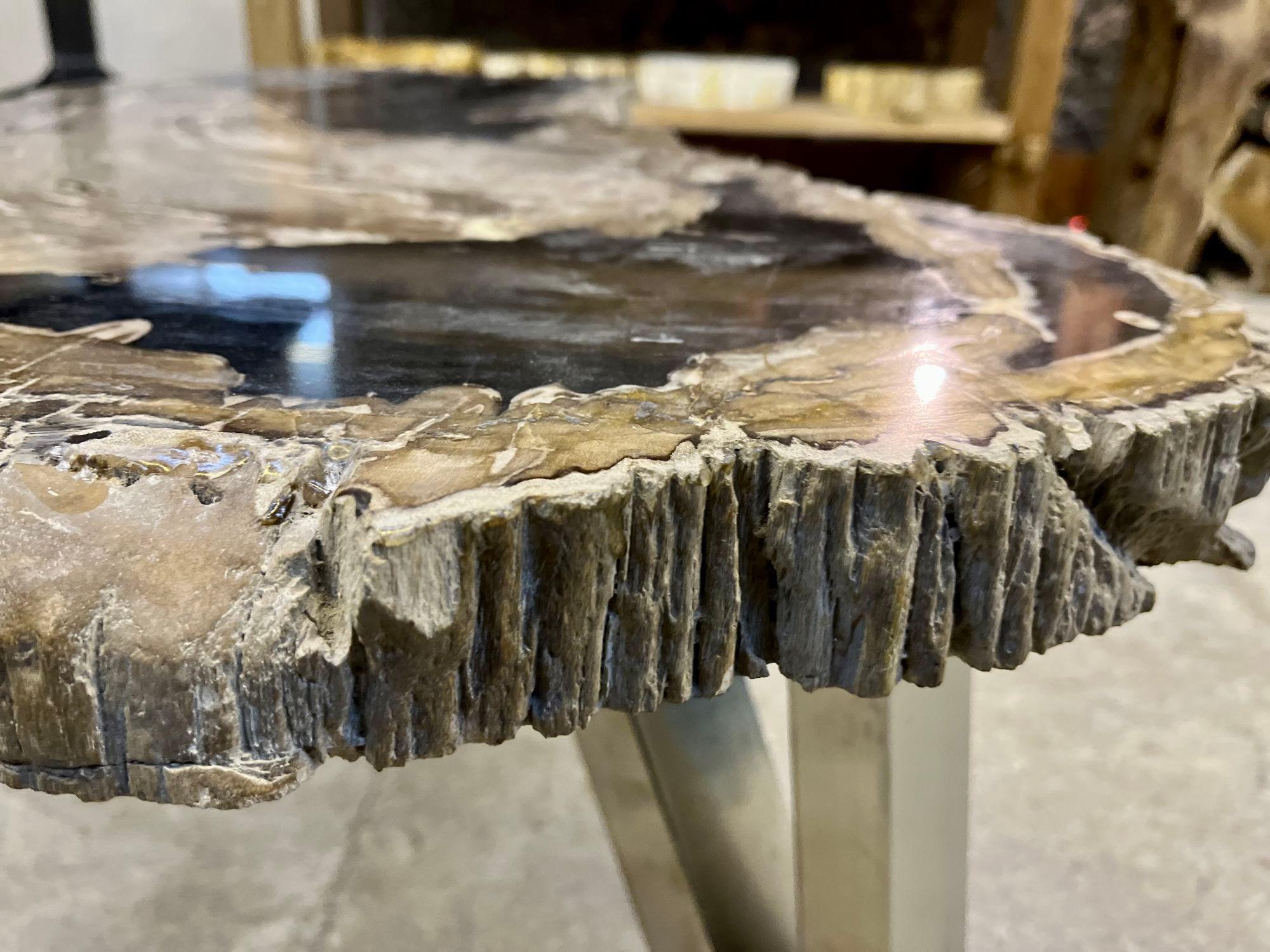 Table basse contemporaine en bois pétrifié avec pieds en acier inoxydable, 2023 en vente 3
