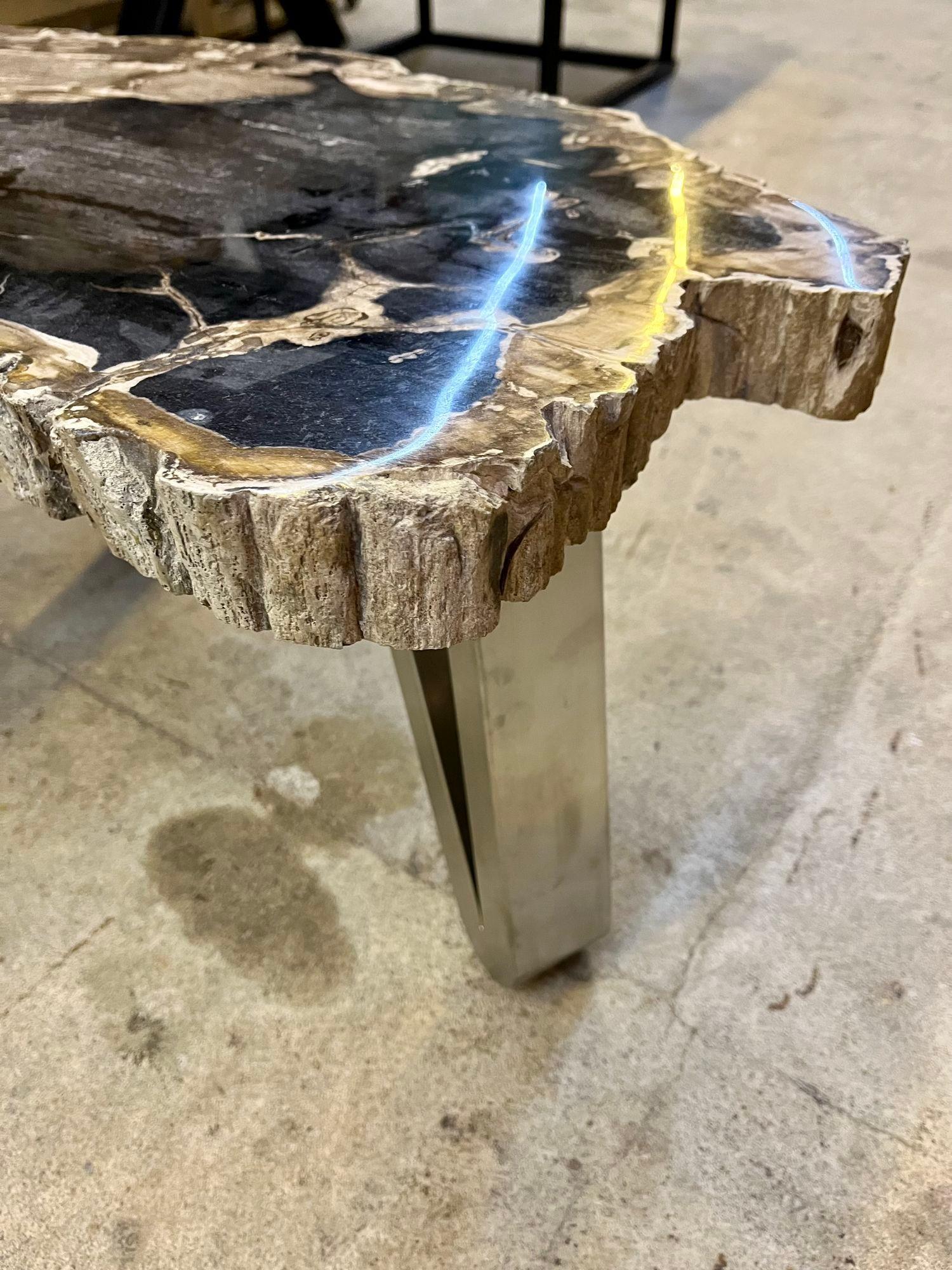 Indonesian Contemporary Petrified Wood Coffee Table With Stainless Steel Feet, 2023