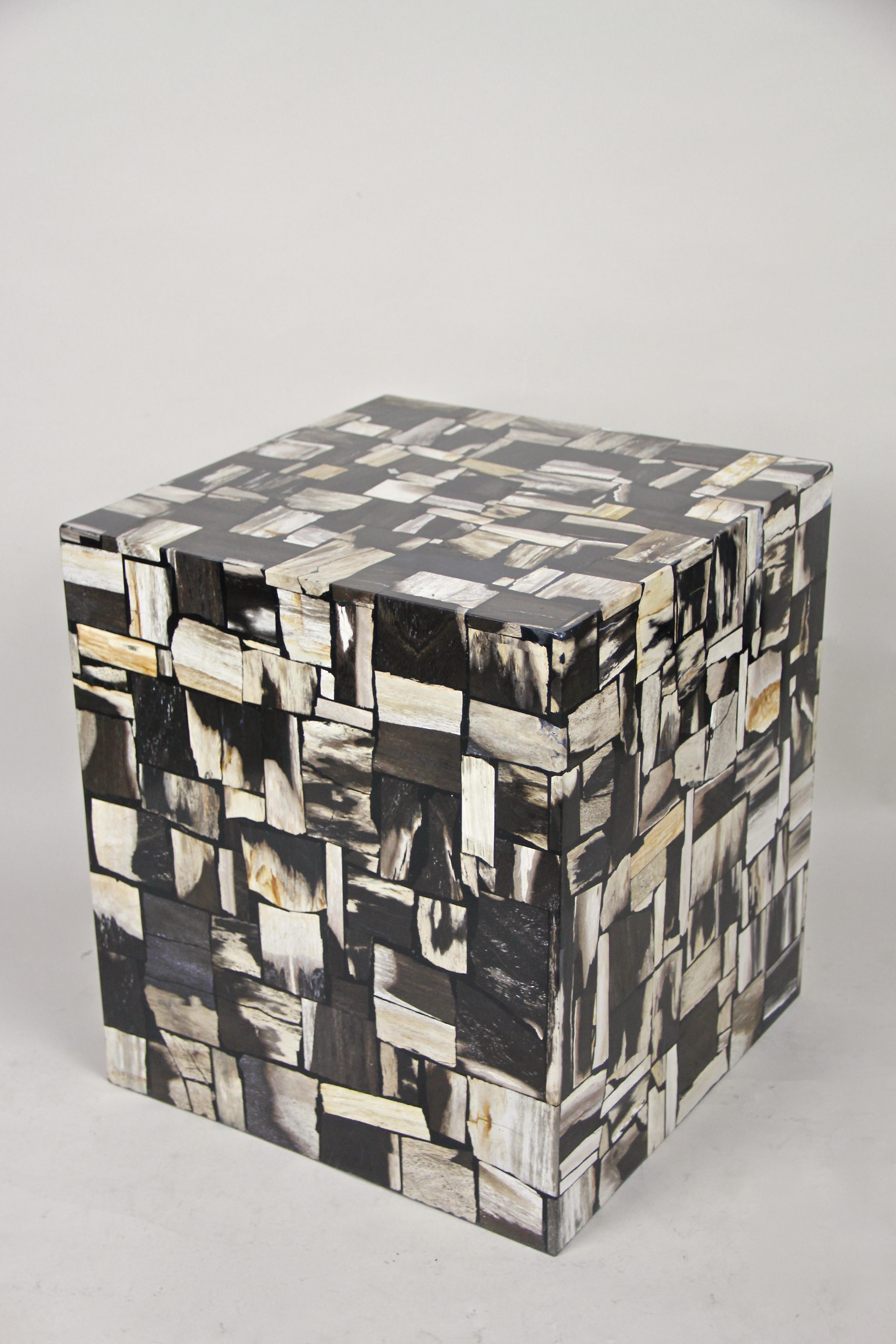 Contemporary Petrified Wood Side Table or Cube Stool In New Condition In Lichtenberg, AT