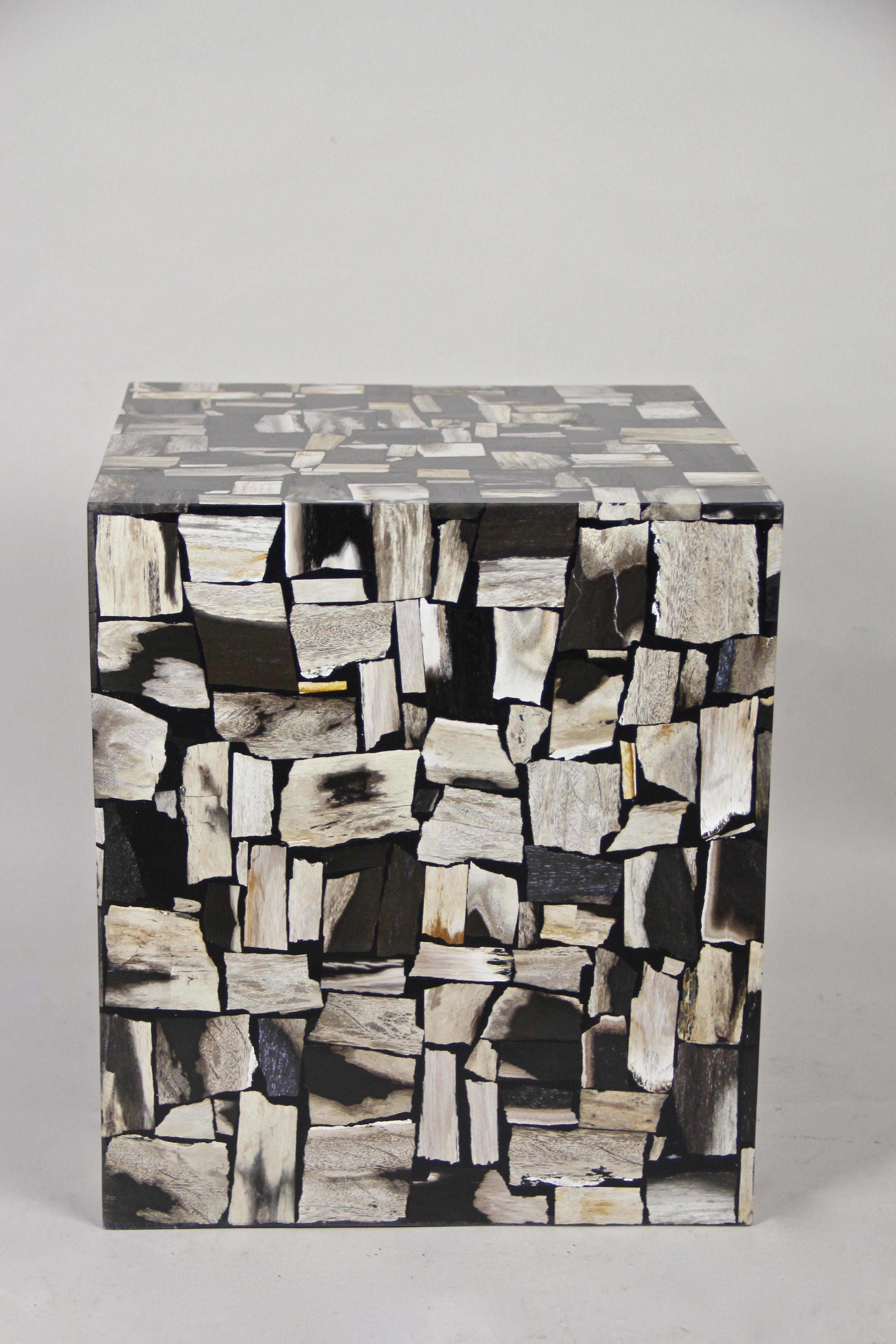 Contemporary Petrified Wood Side Table or Cube Stool 2