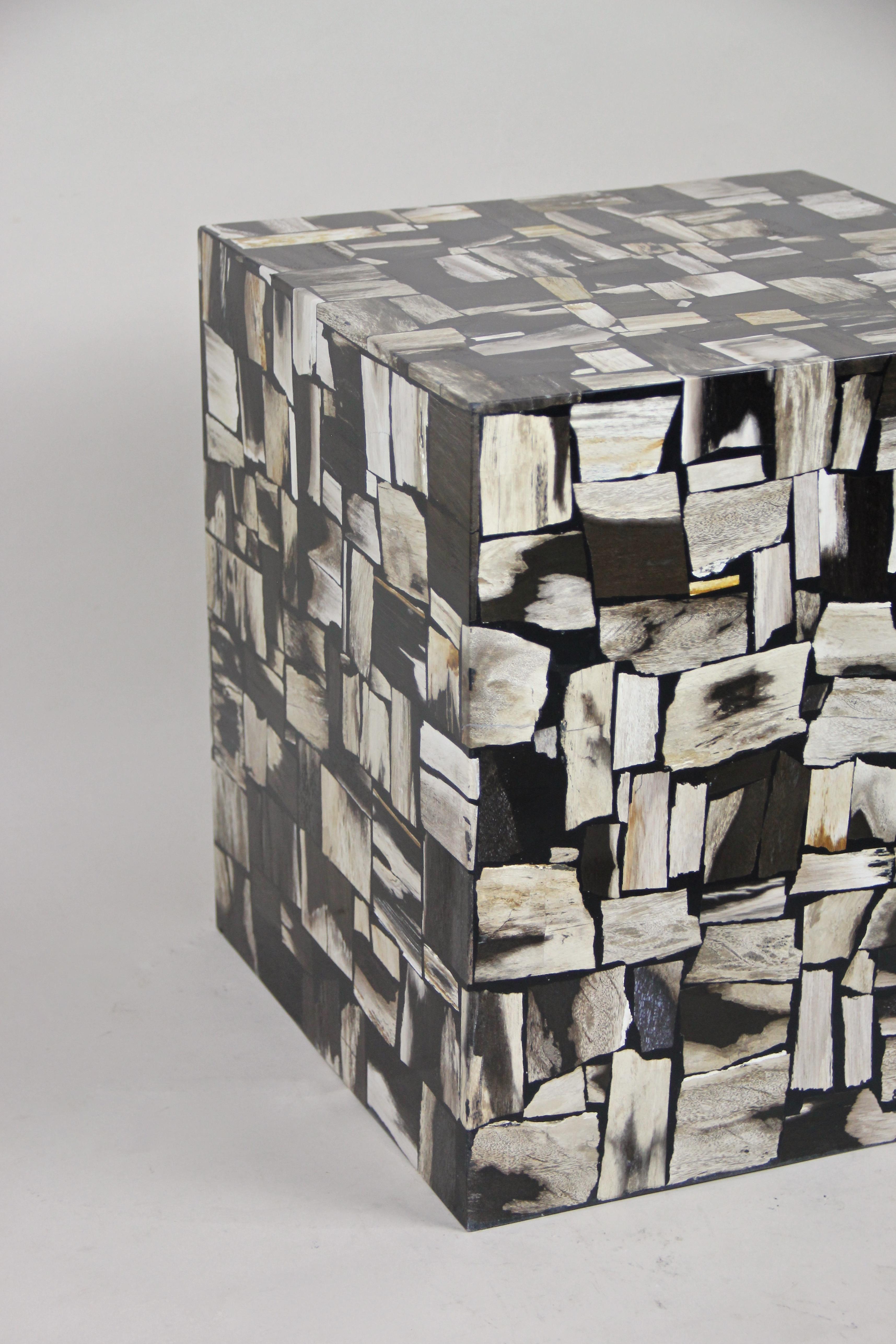 Contemporary Petrified Wood Side Table or Cube Stool 3