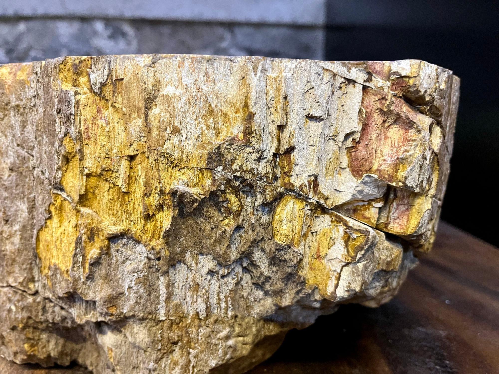 Contemporary Petrified Wood Sink in Beige/ Brown/ Yellow and Pink Tones, 2024 For Sale 5