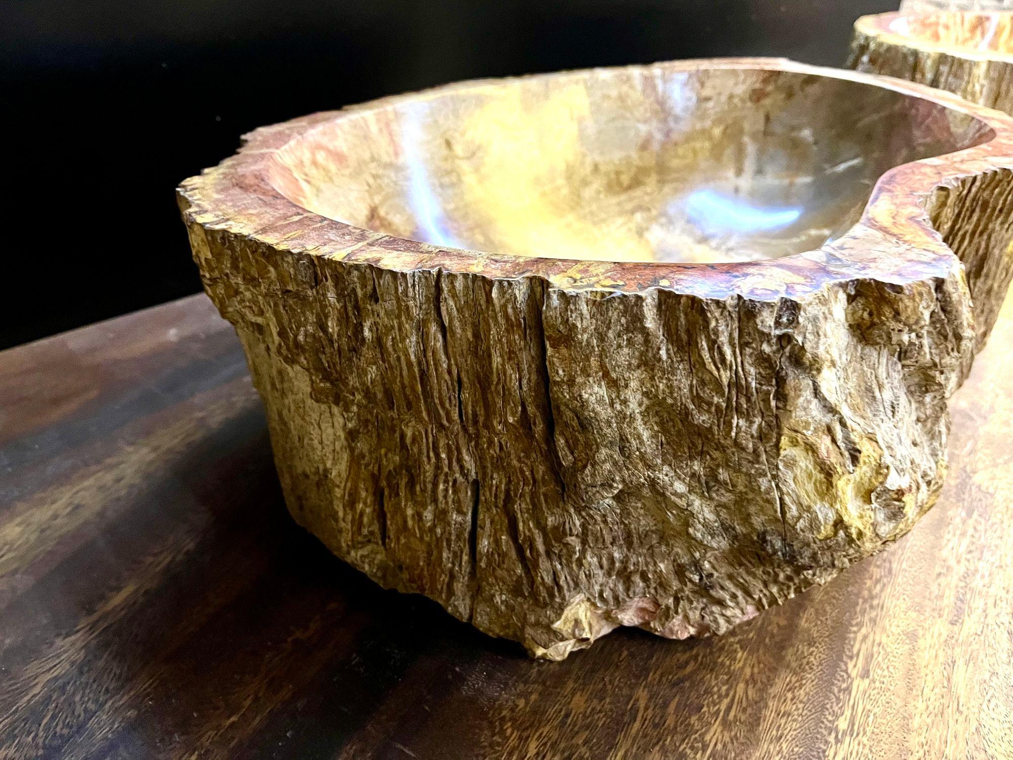 Organic Modern Contemporary Petrified Wood Sink in Beige/ Brown/ Yellow and Pink Tones, 2024 For Sale