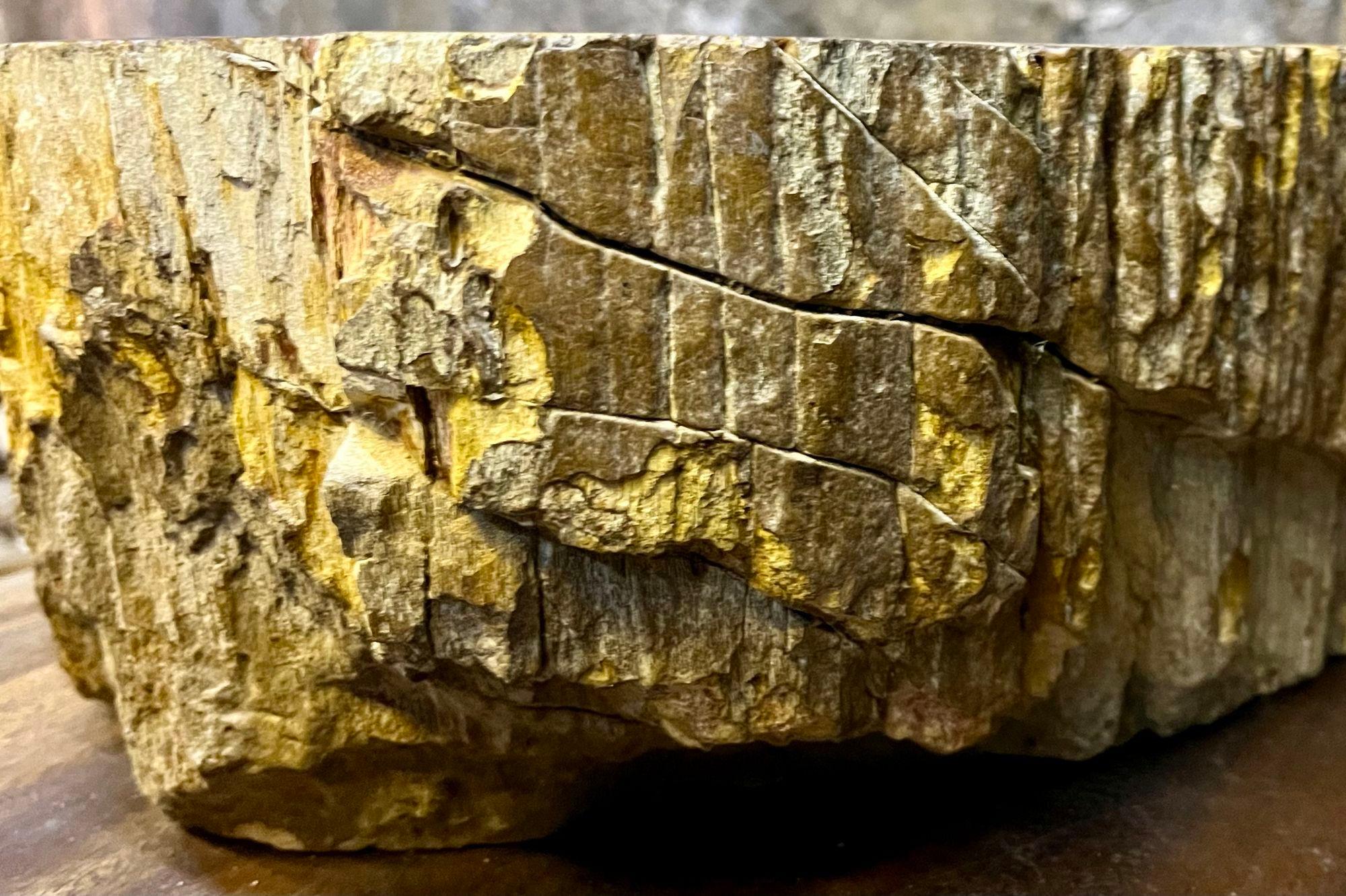 Polished Contemporary Petrified Wood Sink in Beige/ Brown/ Yellow and Pink Tones, 2024 For Sale