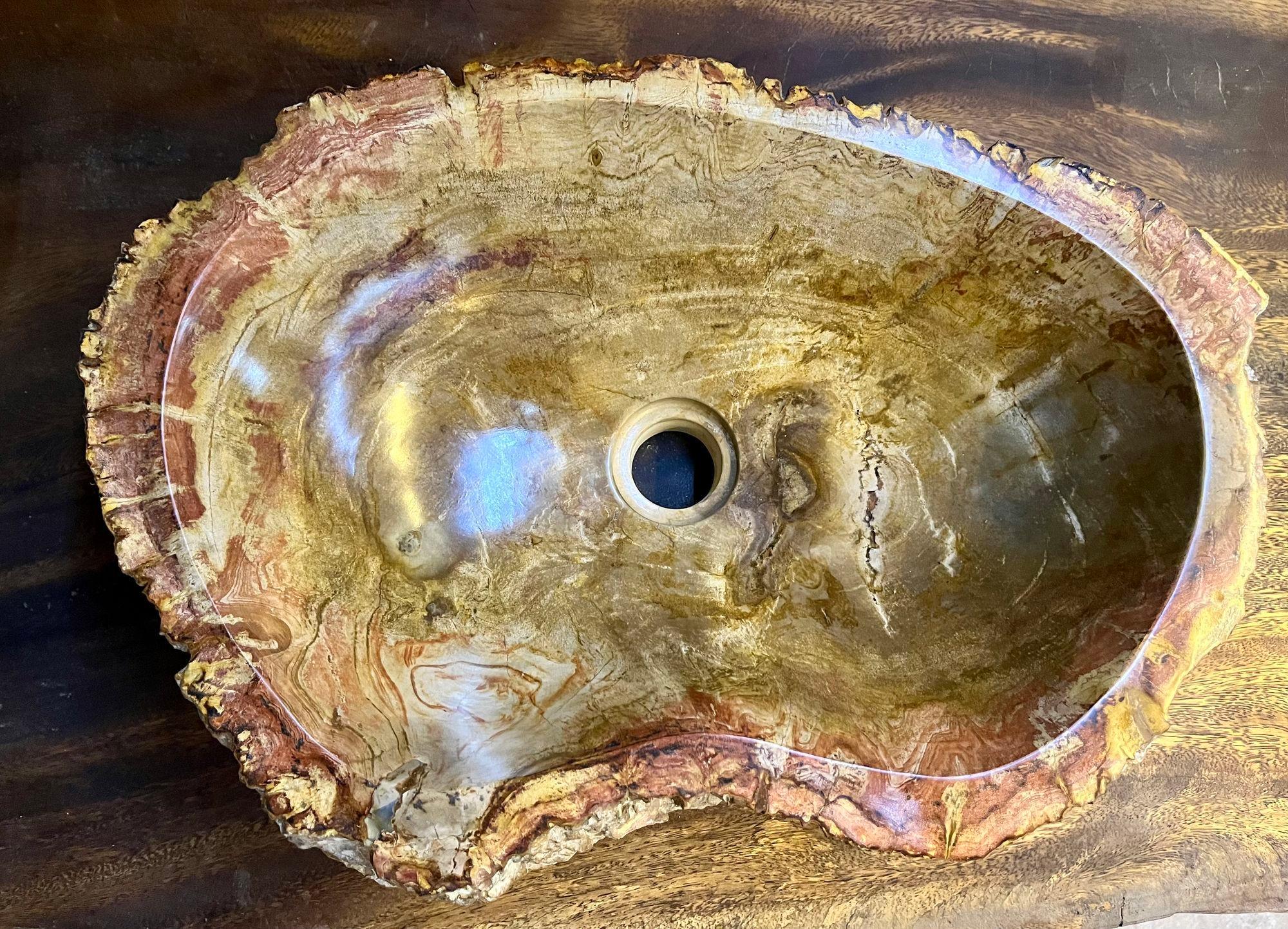Contemporary Petrified Wood Sink in Beige/ Brown/ Yellow and Pink Tones, 2024 For Sale 2