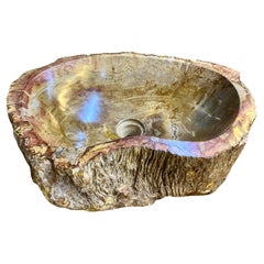 Contemporary Petrified Wood Sink in Beige/ Brown/ Yellow and Pink Tones, 2024