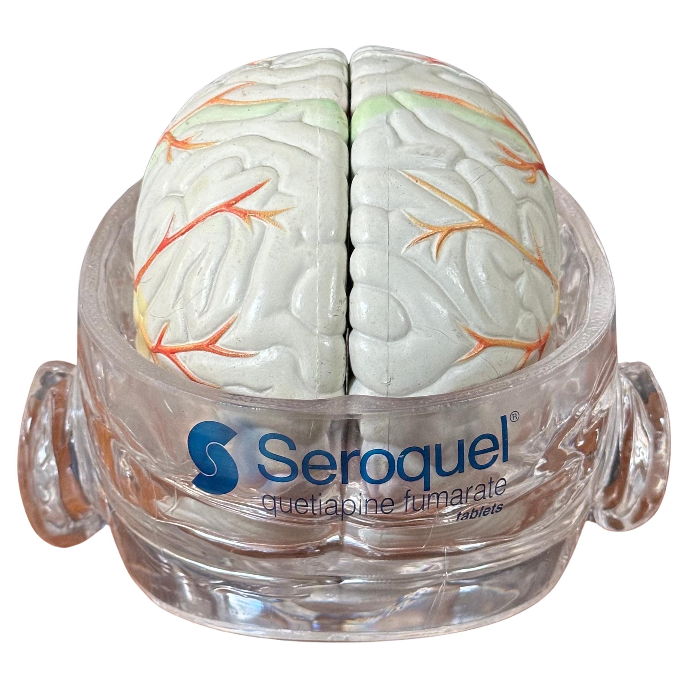Modello di cervello farmaceutico contemporaneo con cranio in lucite In condizioni buone in vendita a San Diego, CA