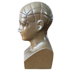 Contemporary Pharmaceutical (Paxipam) Phrenology  Bust / Head Paperweight