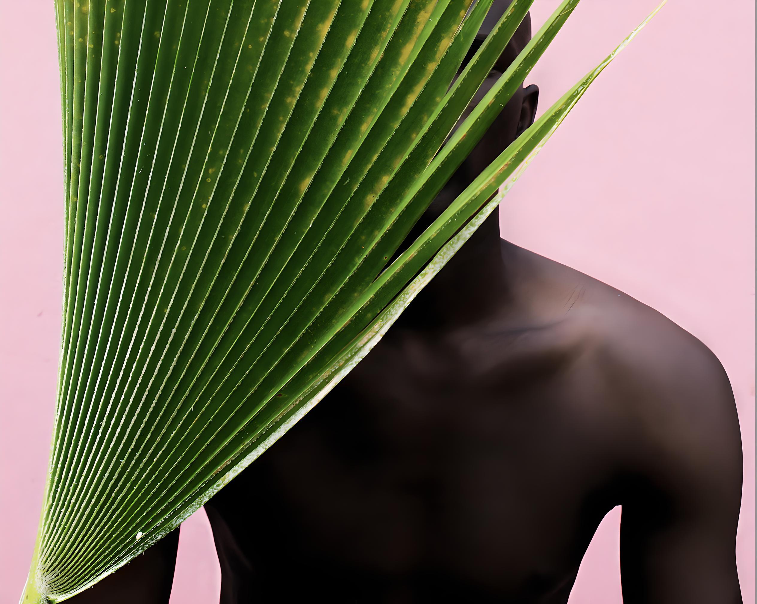 Fotografía contemporánea 