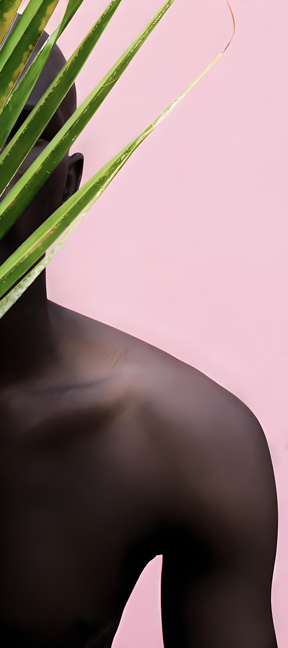 Fotografía contemporánea 