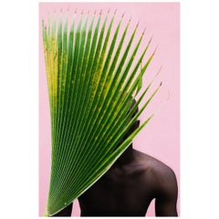 Photographie contemporaine "Untitled Palm Frond" de Lakin Ogunbanwo