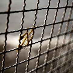 Contemporary Photography by Felipe Varanda, Limited Edition