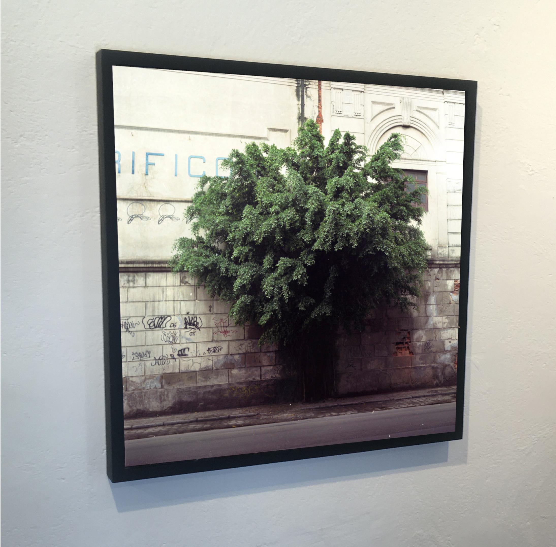 Post-Modern Contemporary Photography by Felipe Varanda, Limited Edition For Sale