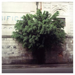 Photographie contemporaine de Felipe Varanda, édition limitée