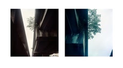 Zeitgenössische Fotografie "Espcimes Vegetais" von Felipe Varanda, limitierte Auflage