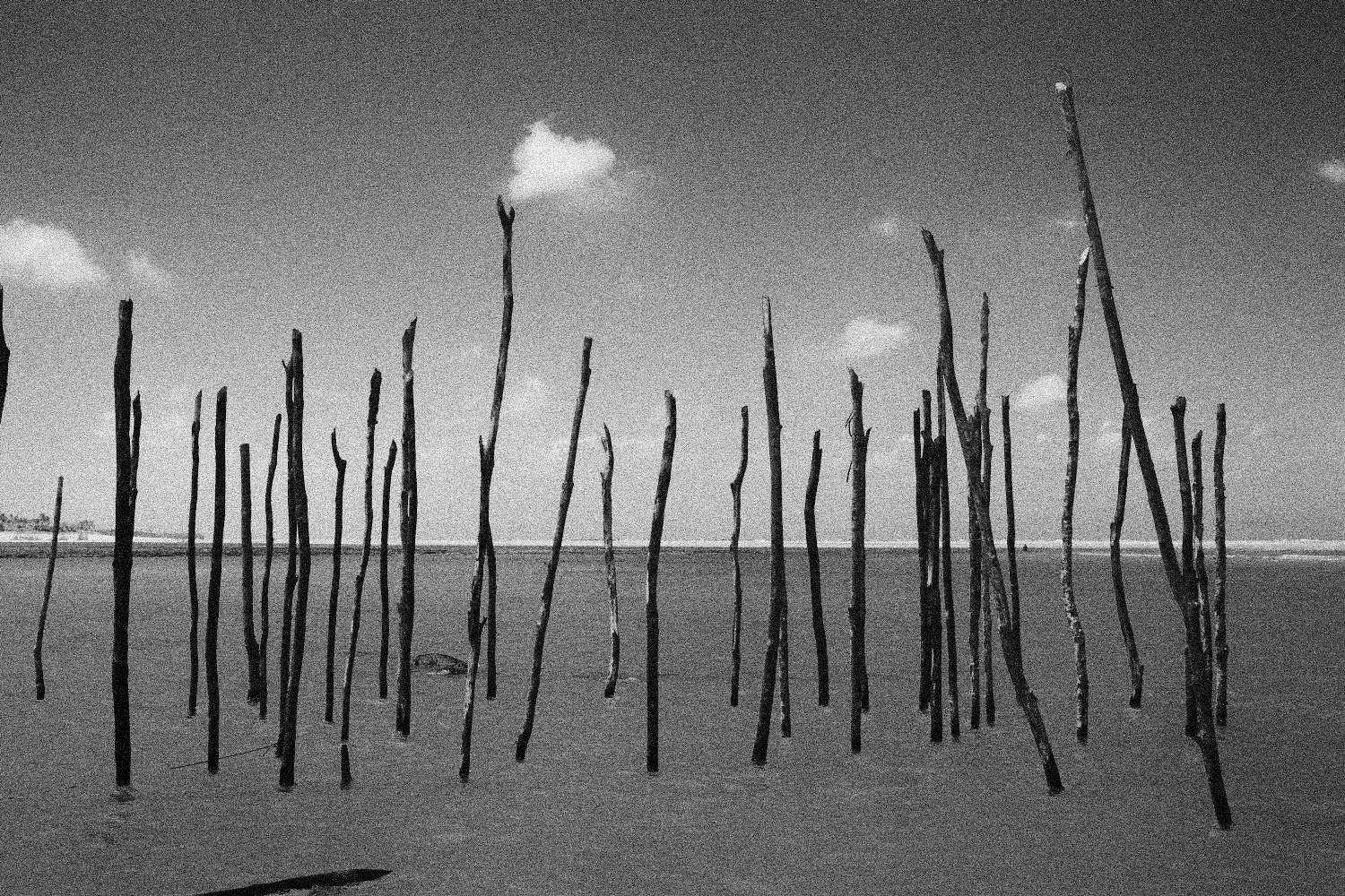 Fotografía Contemporánea 