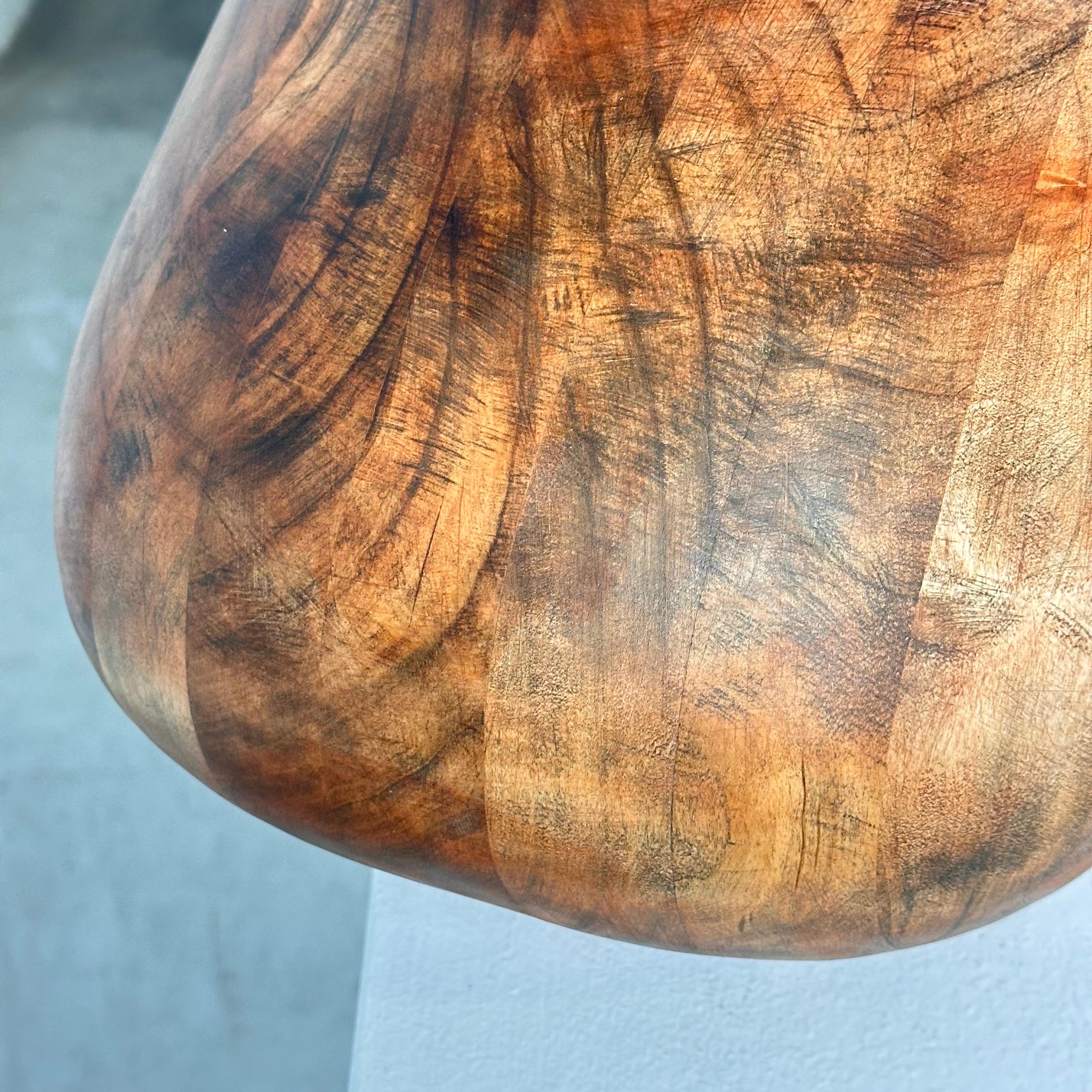 Contemporary Phytomorphic Sculpture Vase aus Holz für FORME, 2024, Italien im Angebot 9