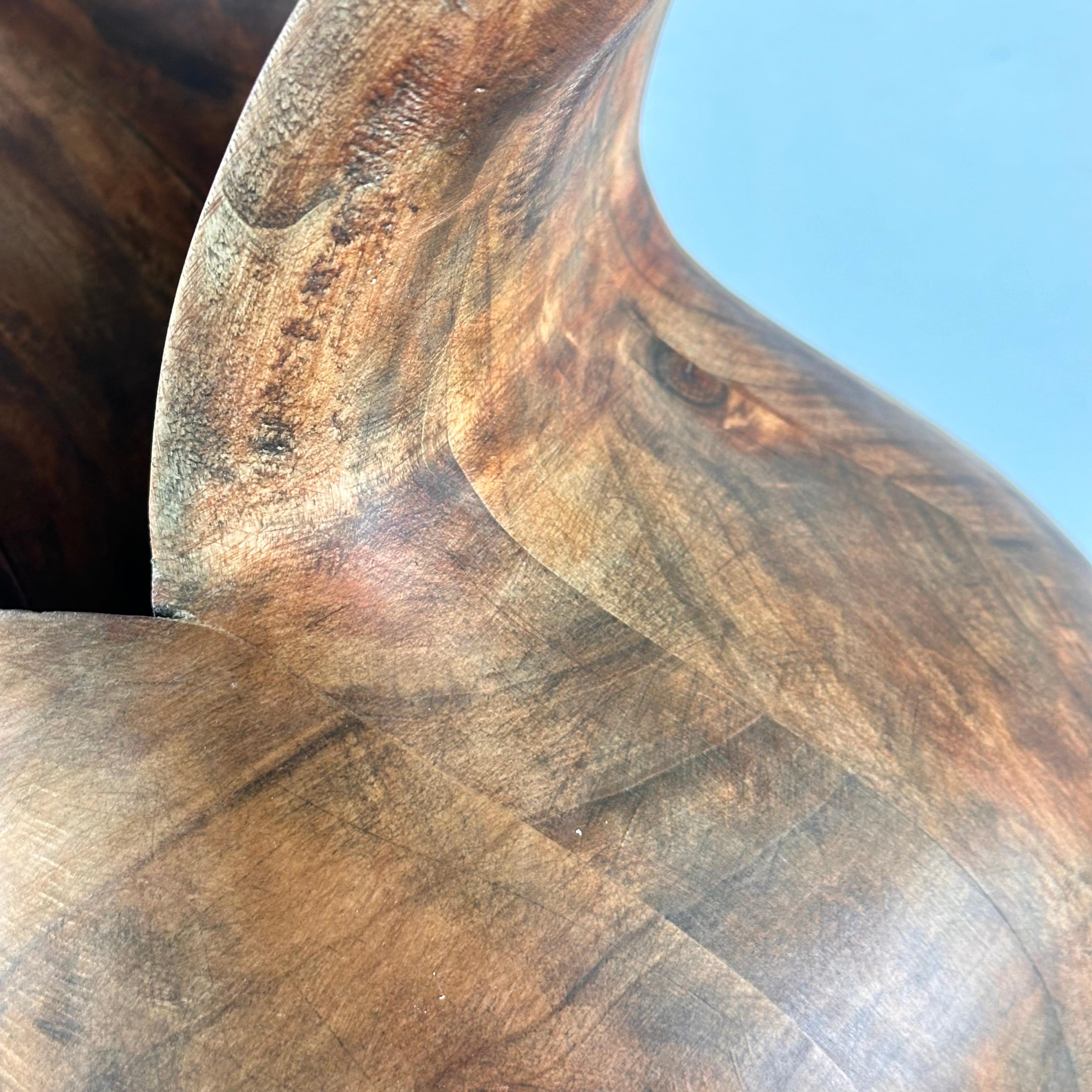 Contemporary Phytomorphic Sculpture Vase aus Holz für FORME, 2024, Italien im Angebot 11