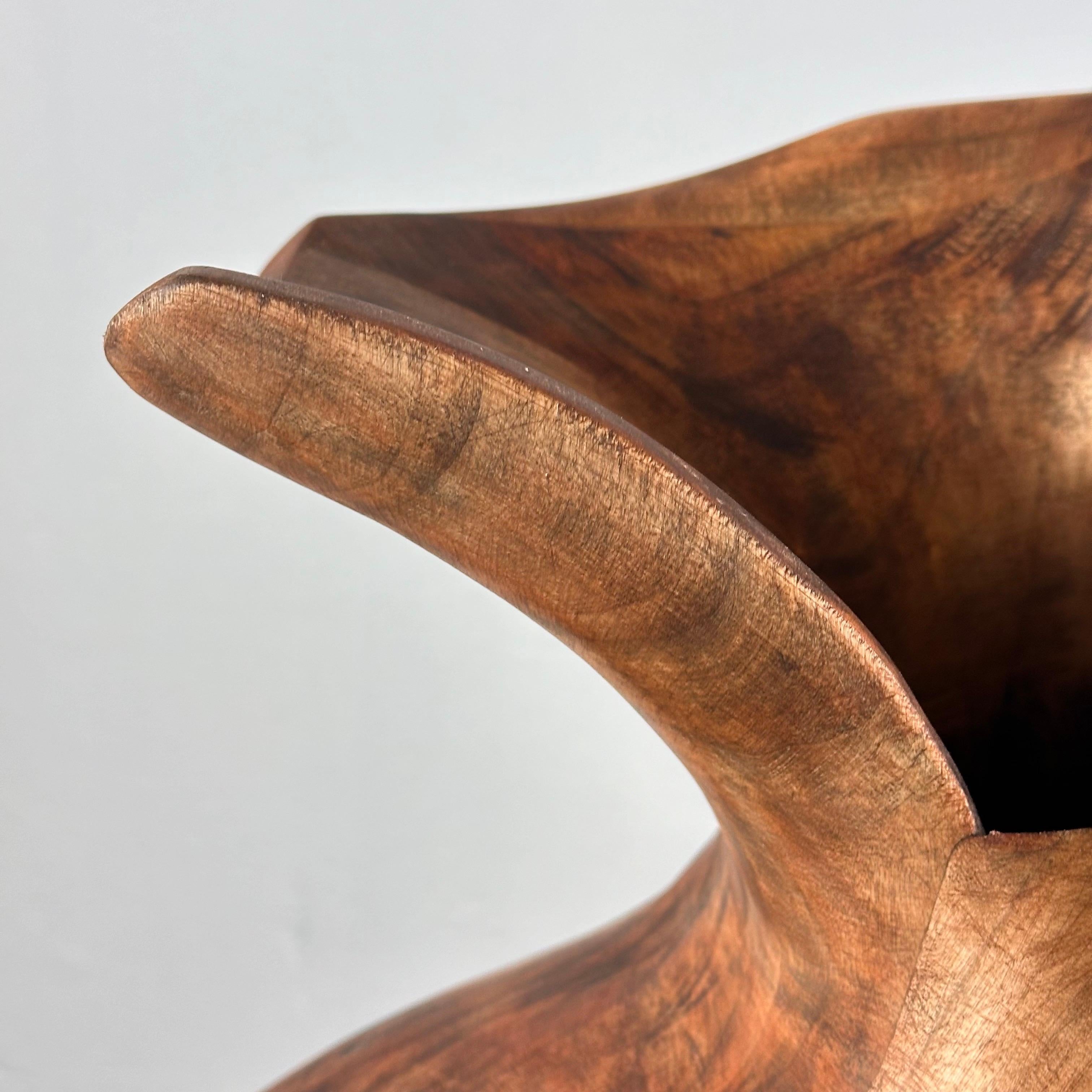 Contemporary Phytomorphic Sculpture Vase aus Holz für FORME, 2024, Italien im Angebot 12