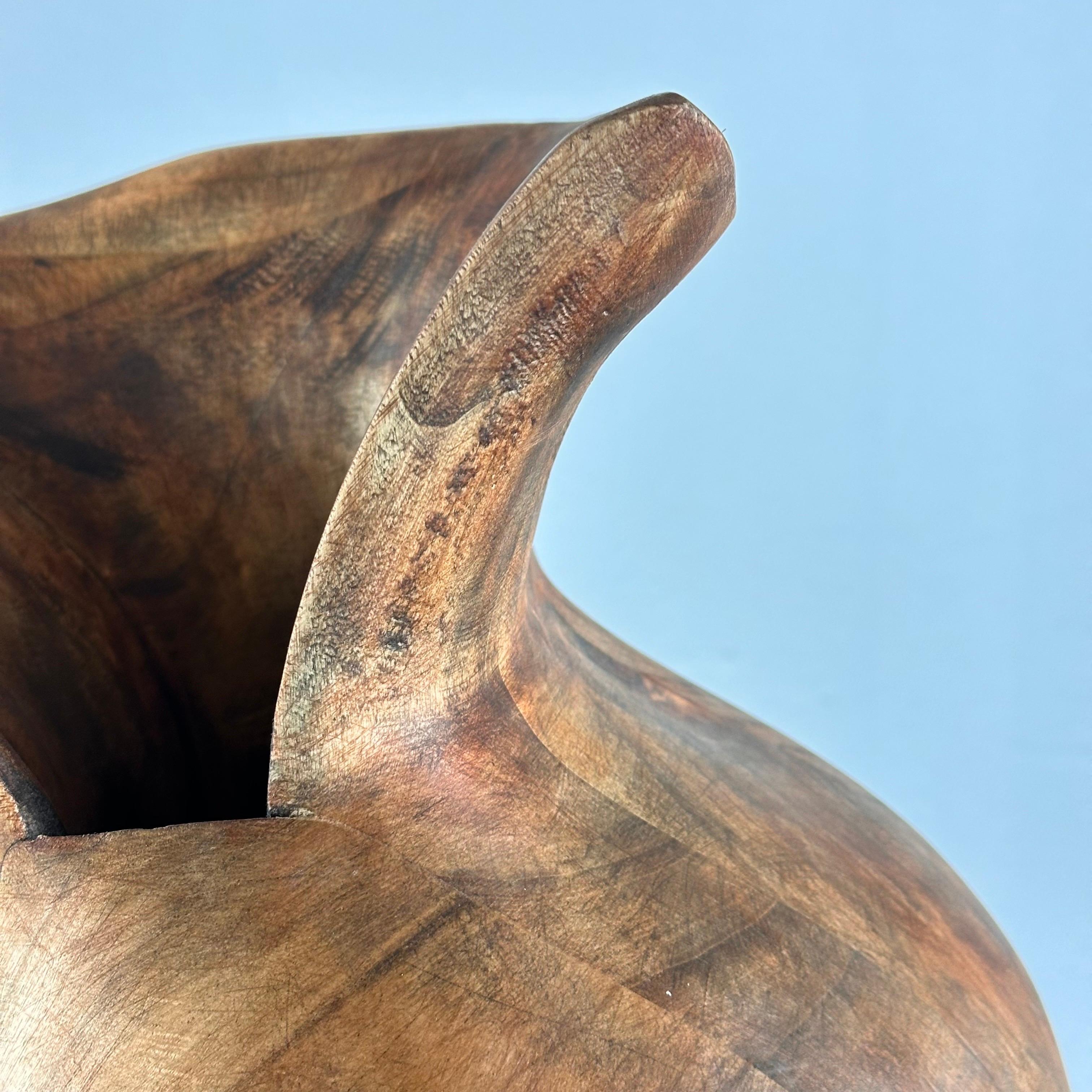 Vaso di legno scultoreo fitomorfo, 1960, Italia in vendita 12