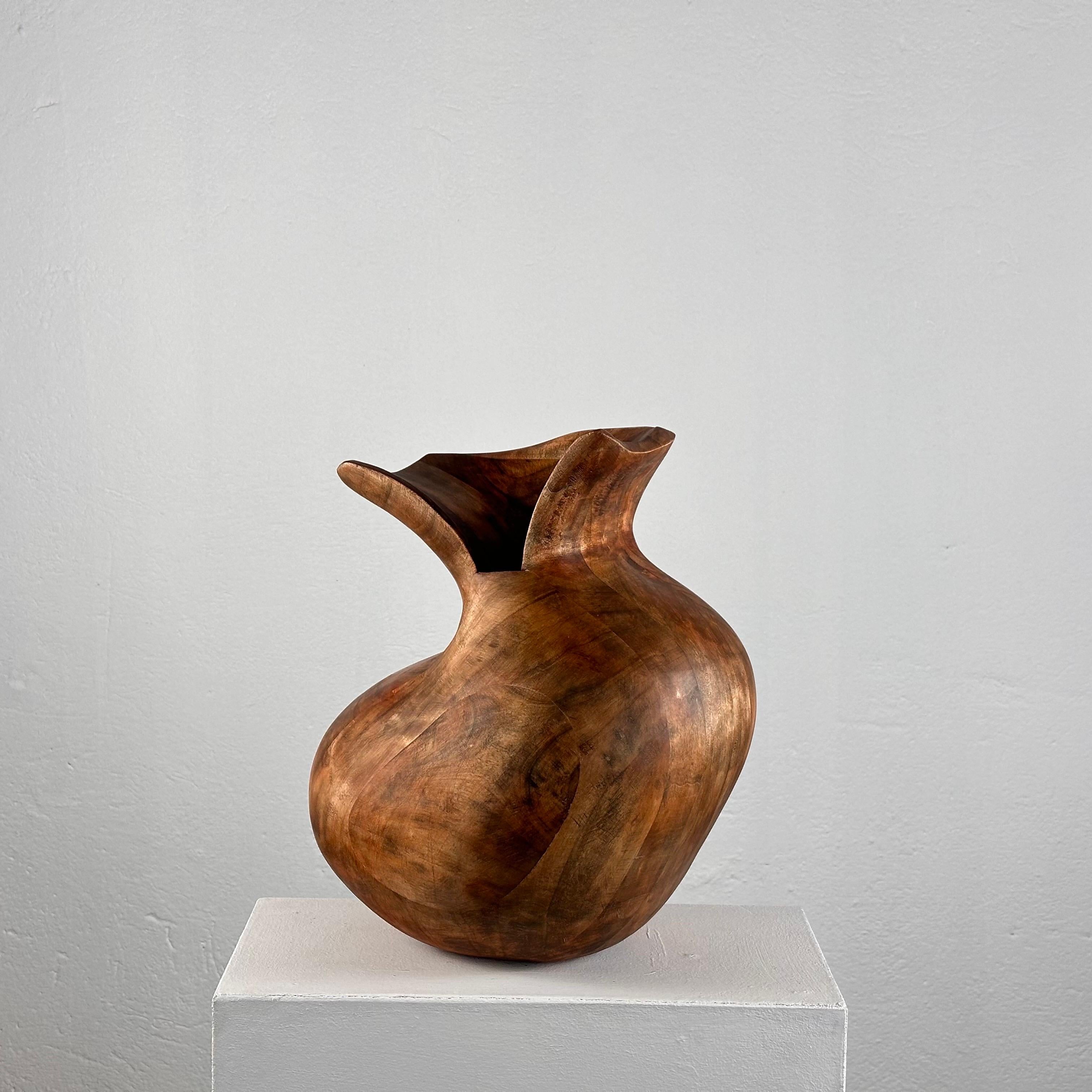 Questo sorprendente vaso scultoreo in legno fitomorfo, realizzato in Italia negli anni '60, incarna l'eleganza e la bellezza organica del design italiano di metà secolo. Il vaso presenta una forma unica, ispirata alle piante, che cattura la fluidità