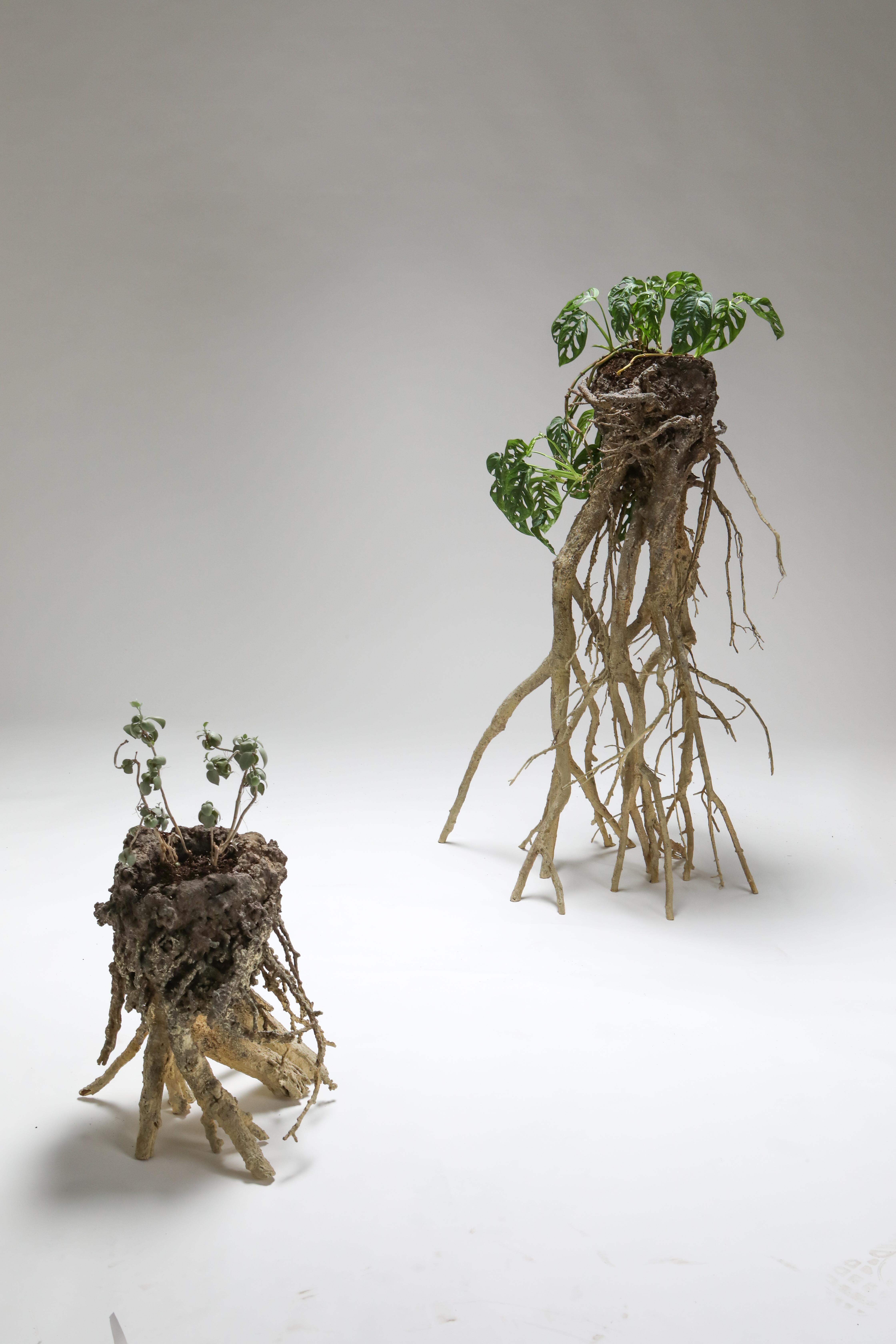 Functional Art Planters 'Mnetonimic Pneumatophres I' by touche-touche 1