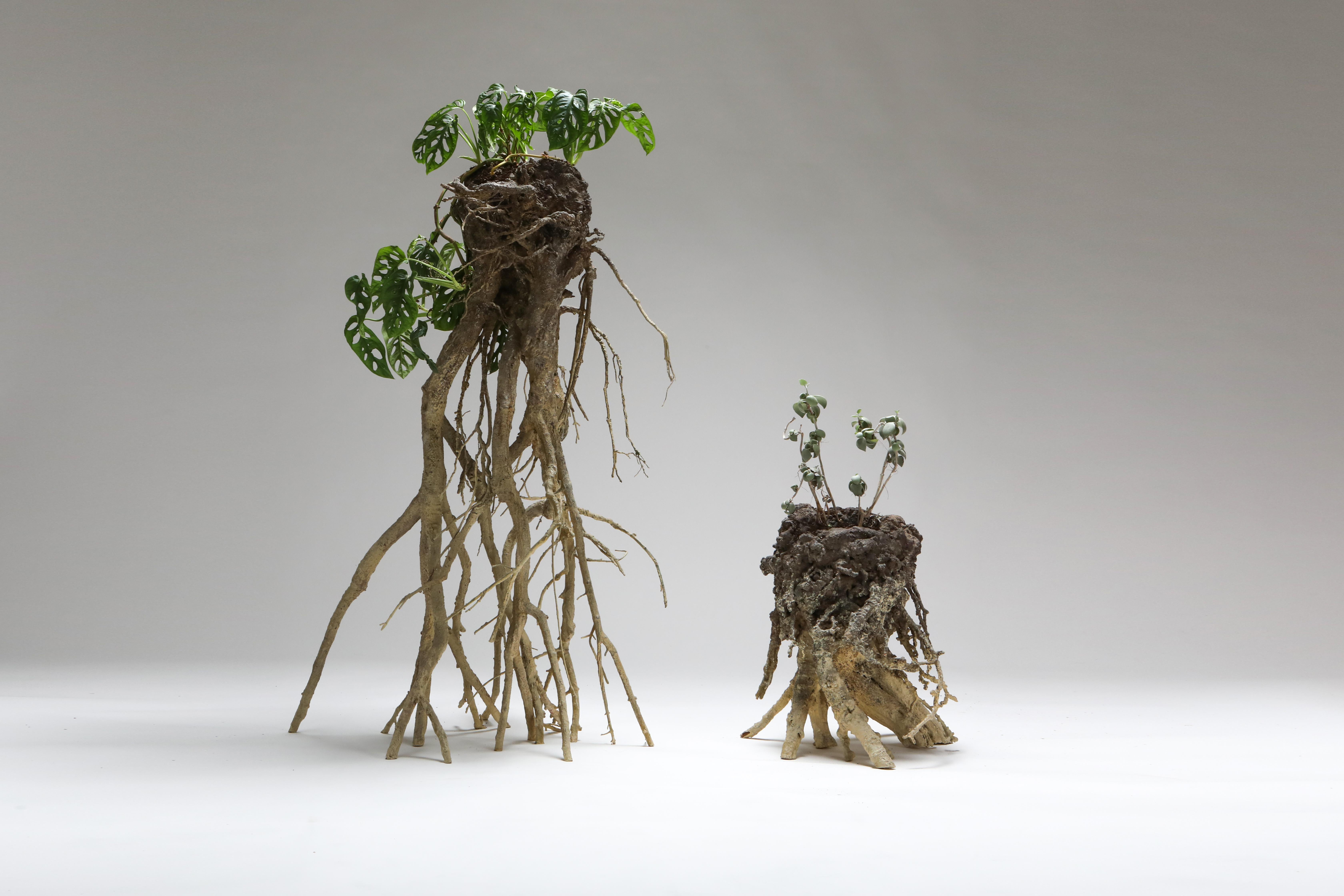 Functional Art Planters 'Mnetonimic Pneumatophres I' by touche-touche 2