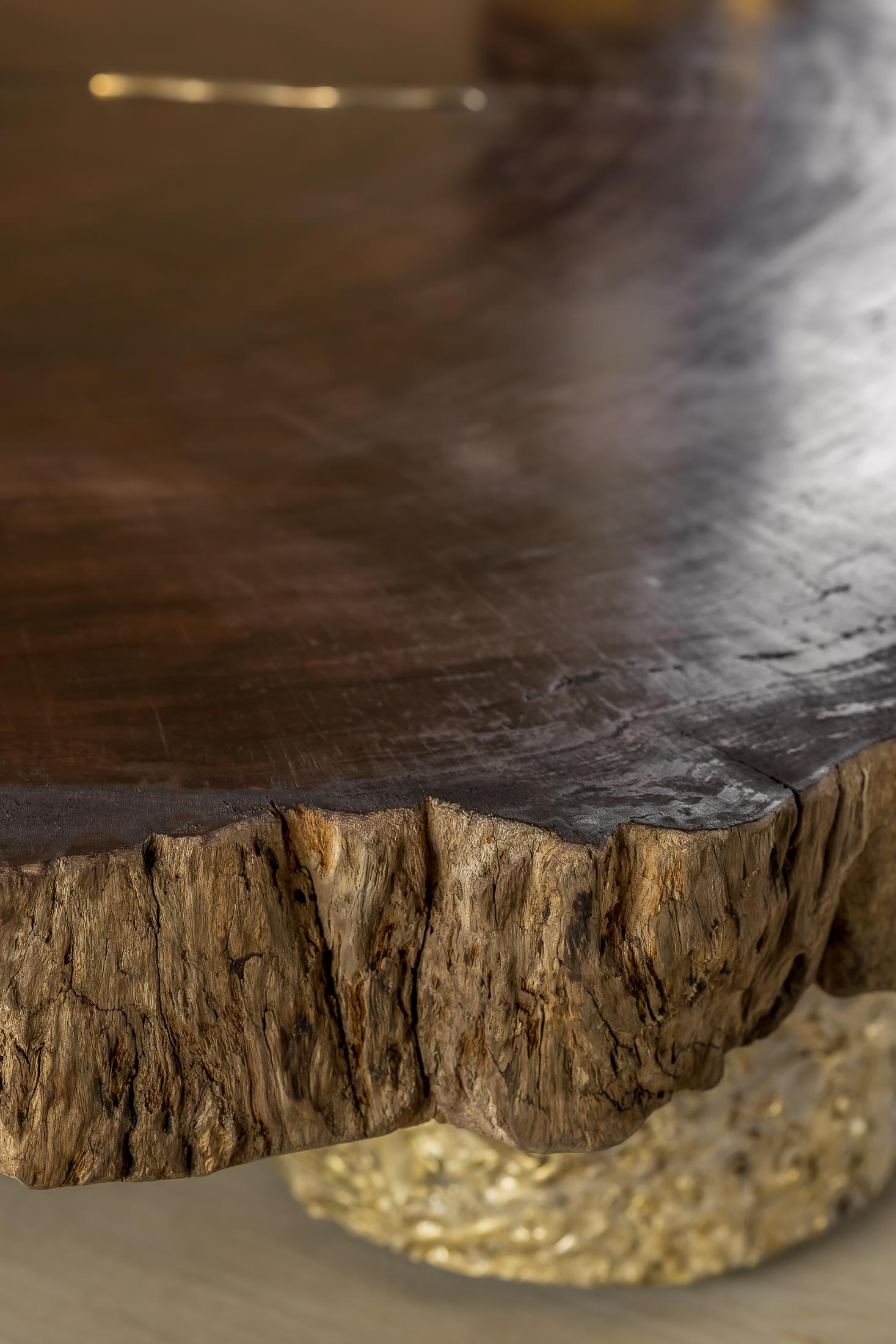 Contemporary Waterbubinga Holz poliert, Messingguss Couchtisch im Angebot 4