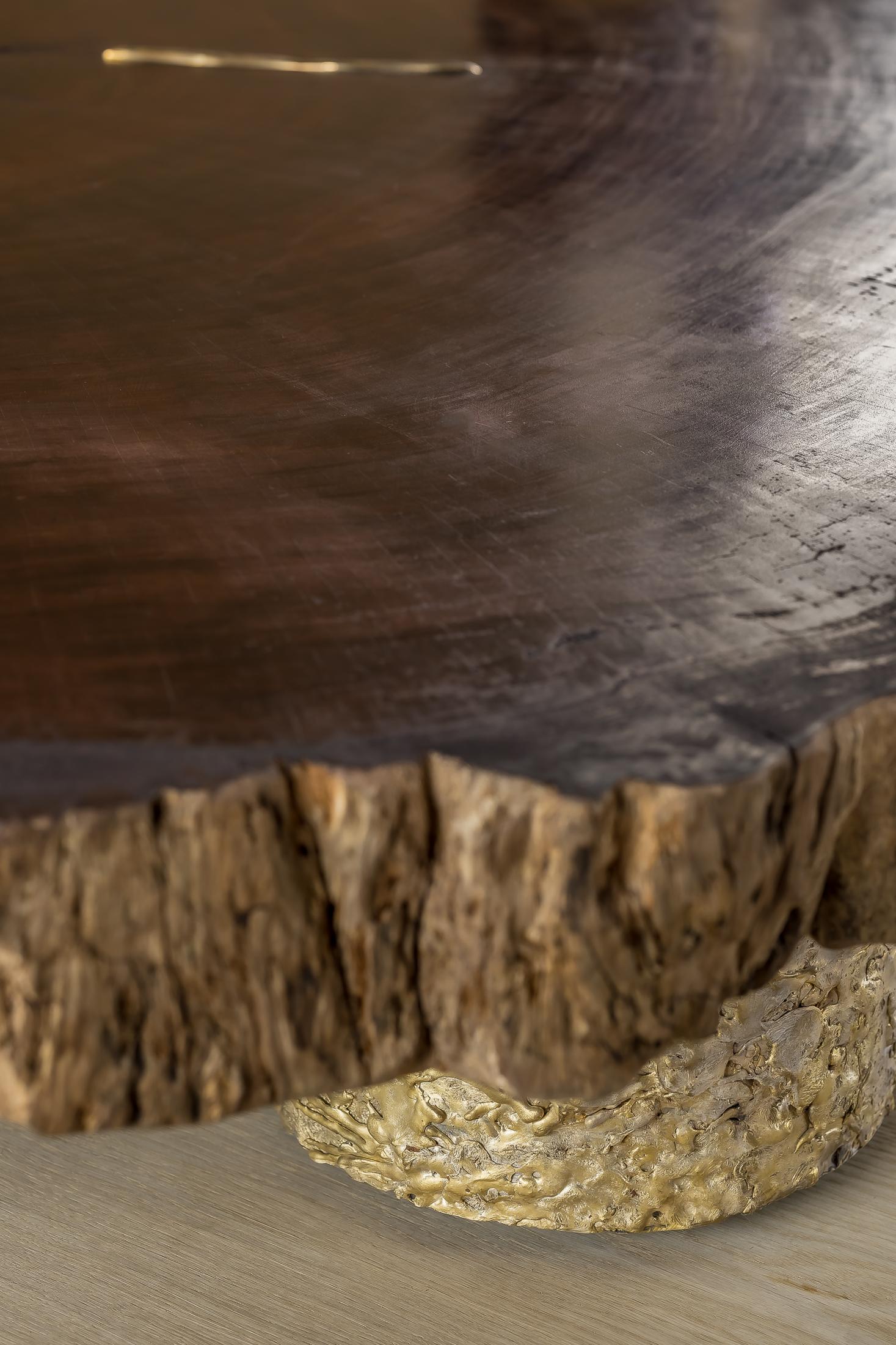 Contemporary Waterbubinga Holz poliert, Messingguss Couchtisch im Angebot 5