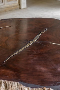 Contemporary Polished Waterbubinga wood, cast brass Coffee table