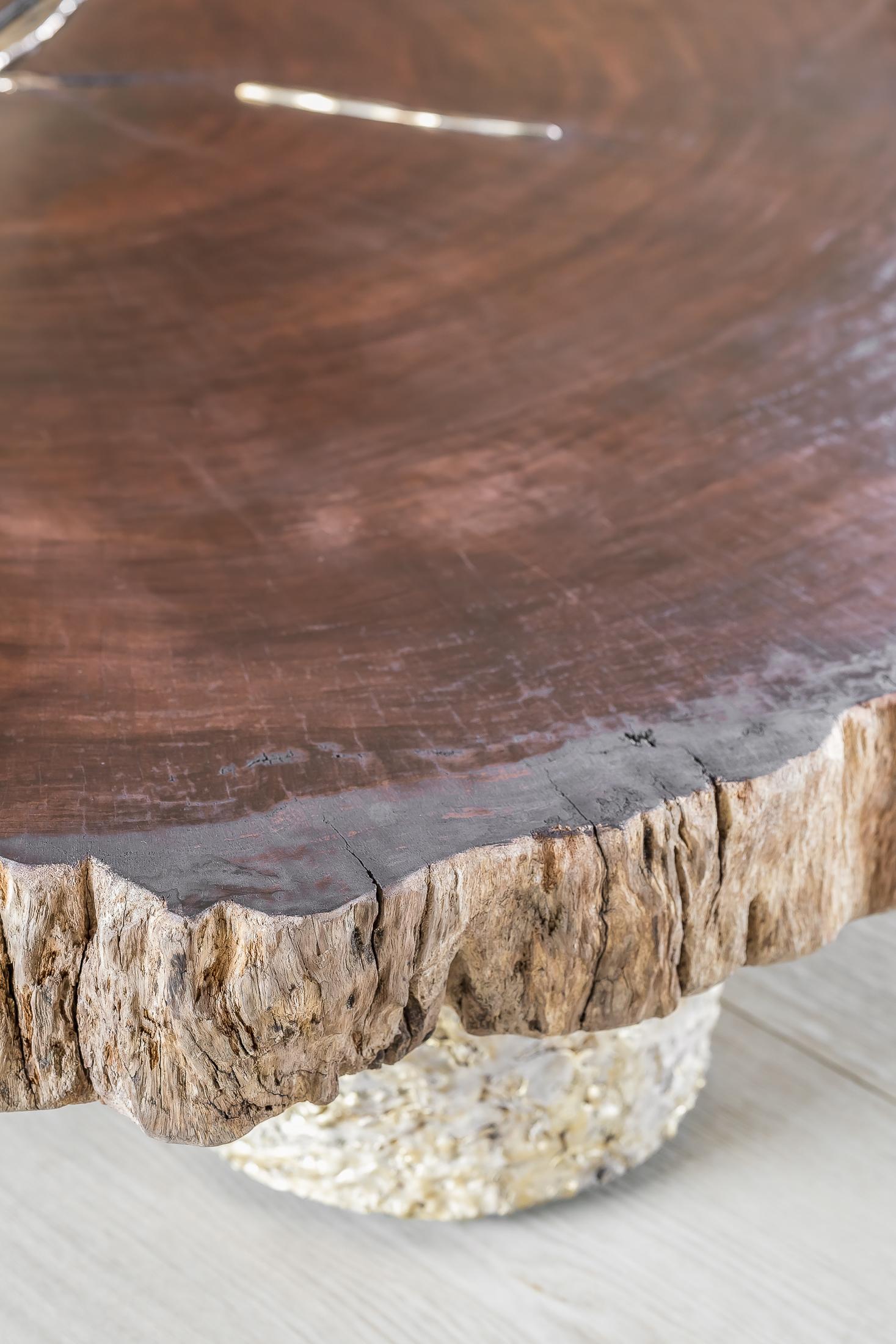Contemporary Waterbubinga Holz poliert, Messingguss Couchtisch (Handgeschnitzt) im Angebot