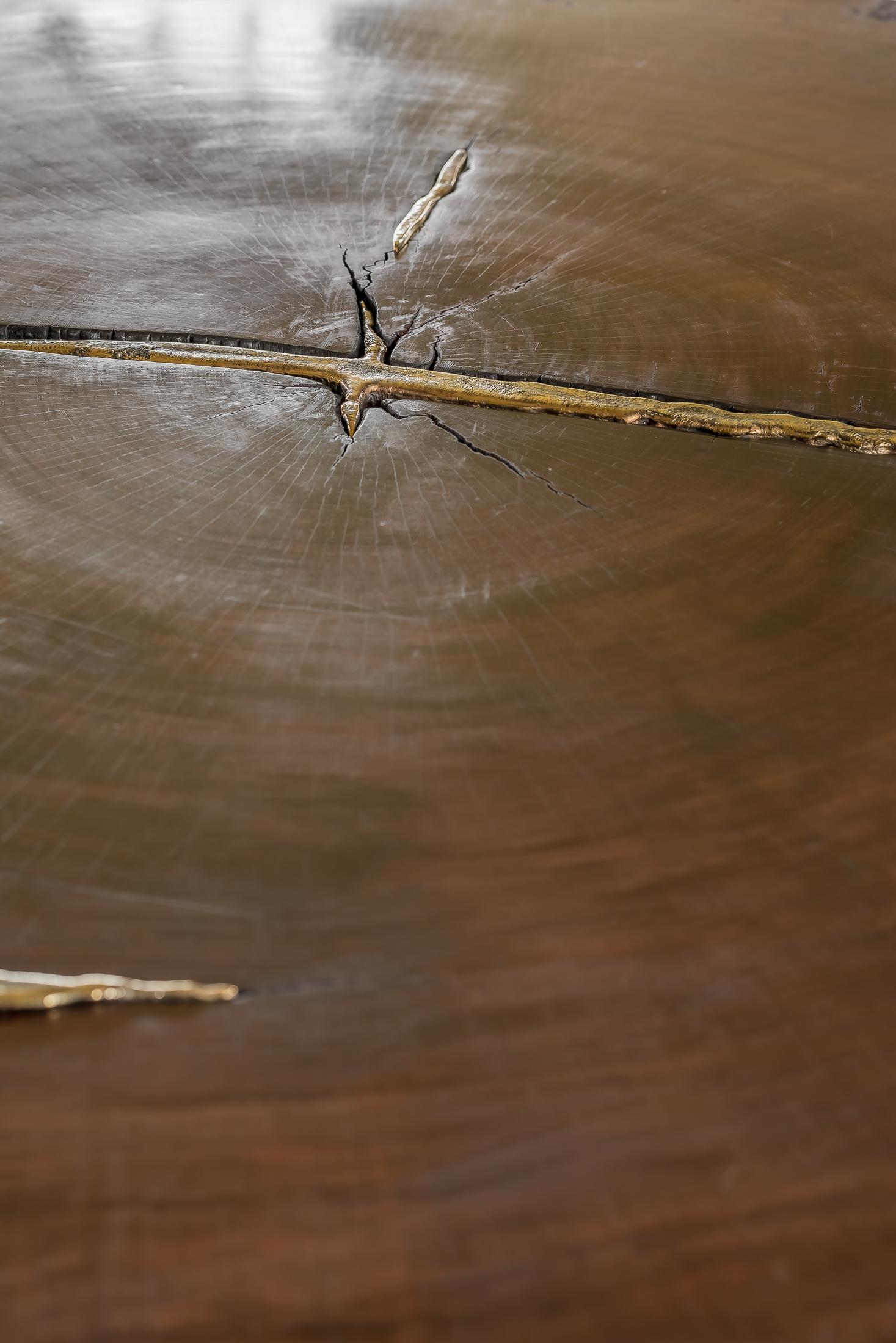 Contemporary Waterbubinga Holz poliert, Messingguss Couchtisch im Zustand „Neu“ im Angebot in 1204, CH