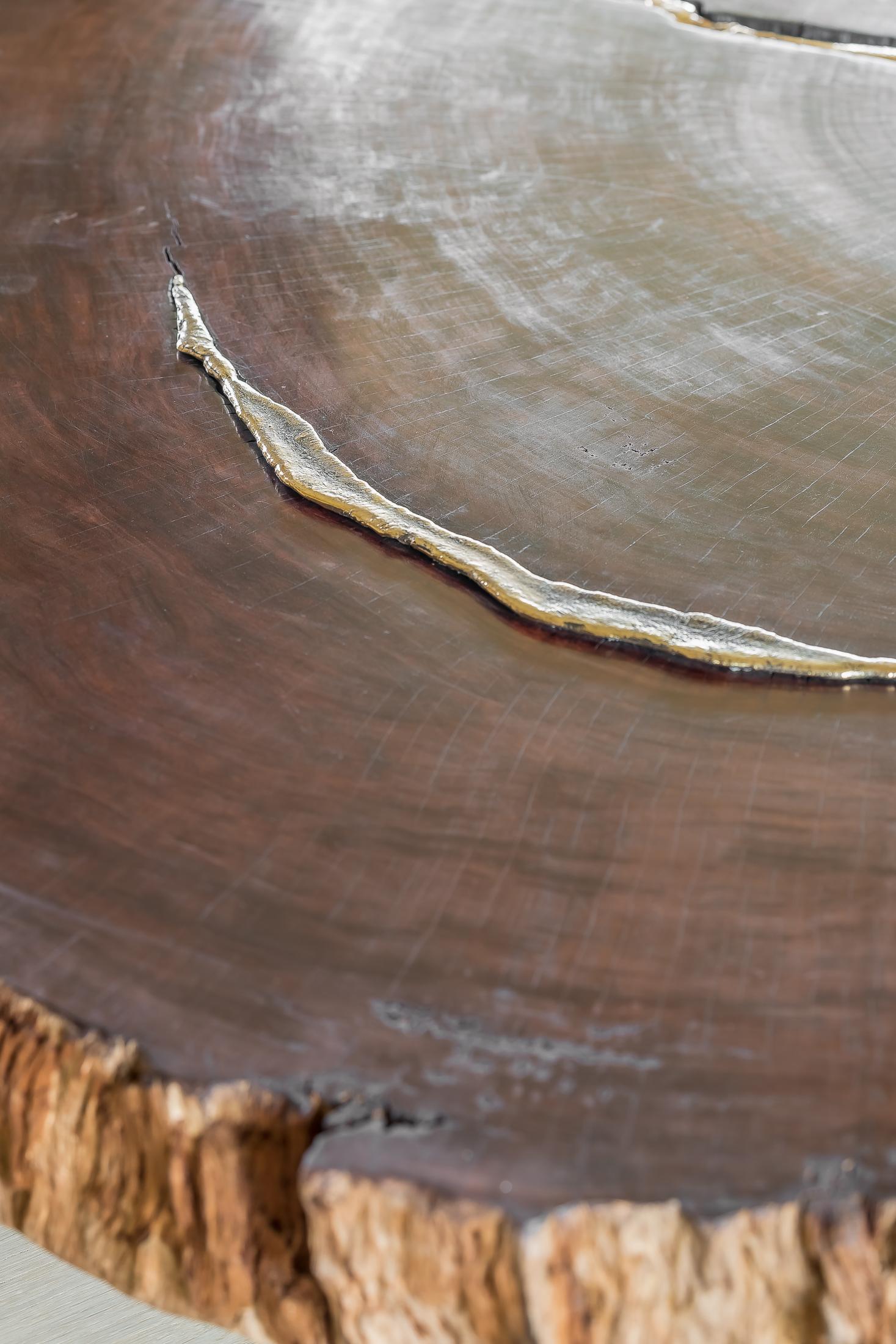 Contemporary Waterbubinga Holz poliert, Messingguss Couchtisch (21. Jahrhundert und zeitgenössisch) im Angebot