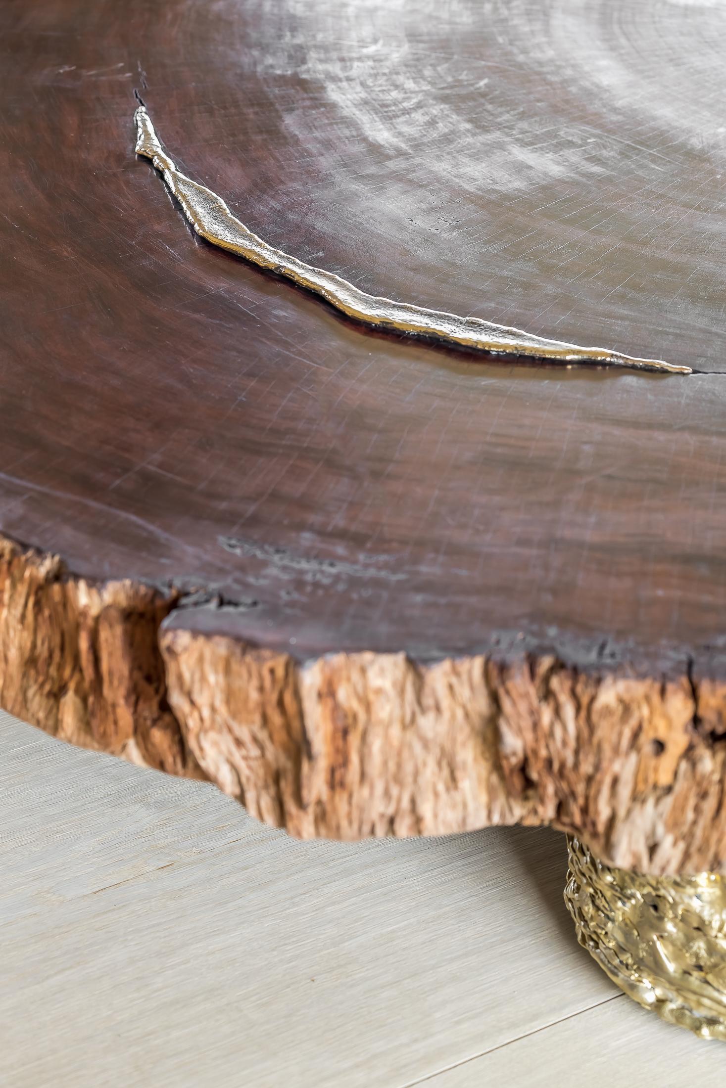 Contemporary Waterbubinga Holz poliert, Messingguss Couchtisch im Angebot 1