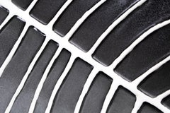 Contemporary Porcelain Oval Centerpiece Bay Leaf Black White Ceramic Italy Fos