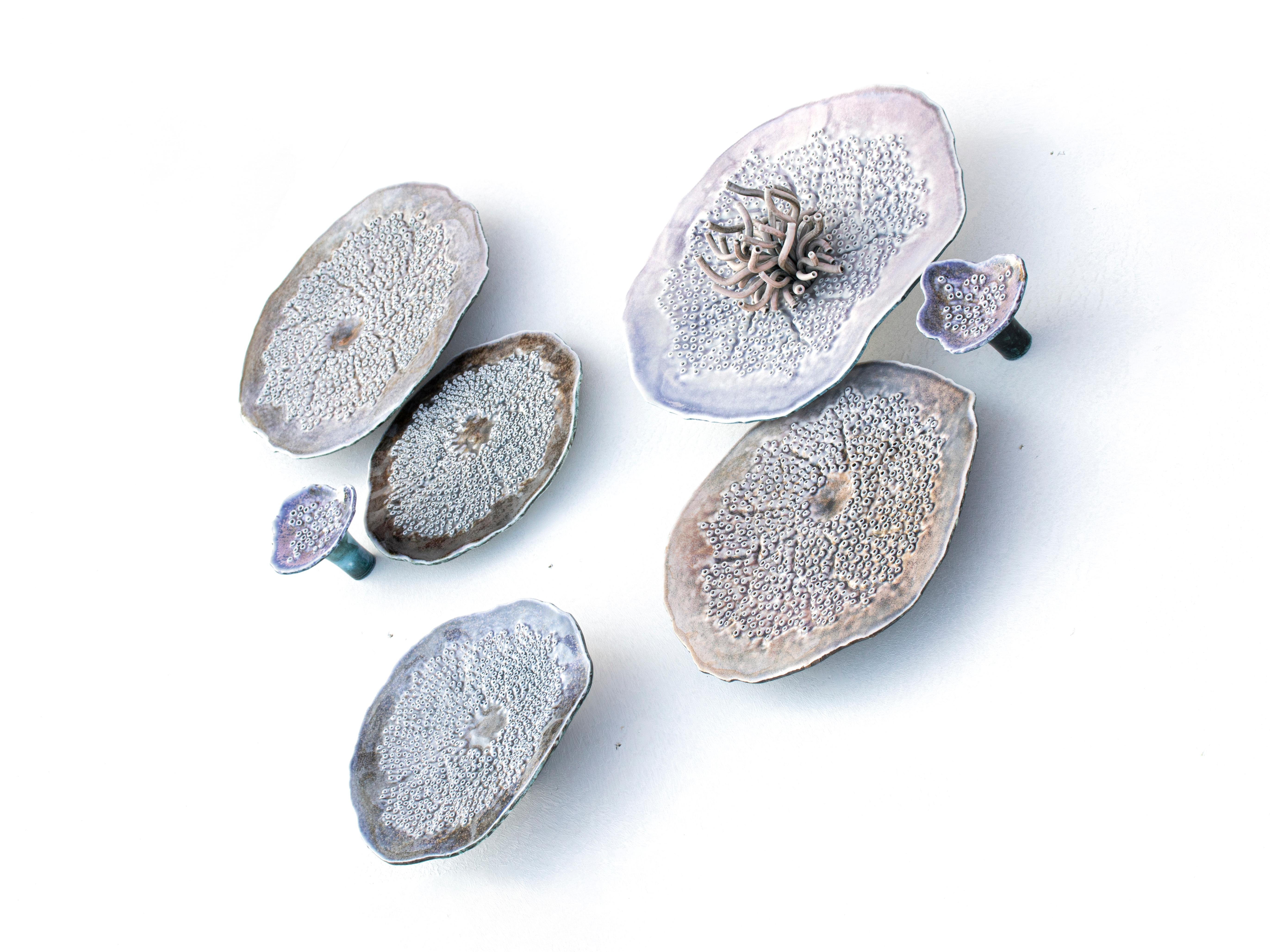 Set of 7 different wall decoration plates, including the screws to hang them on wall.

PORIFERA Collection by FOS is an hymn to the beauty of marine world, with a myriad of tiny holes to explore by touch.
The texture, inspired by corals,