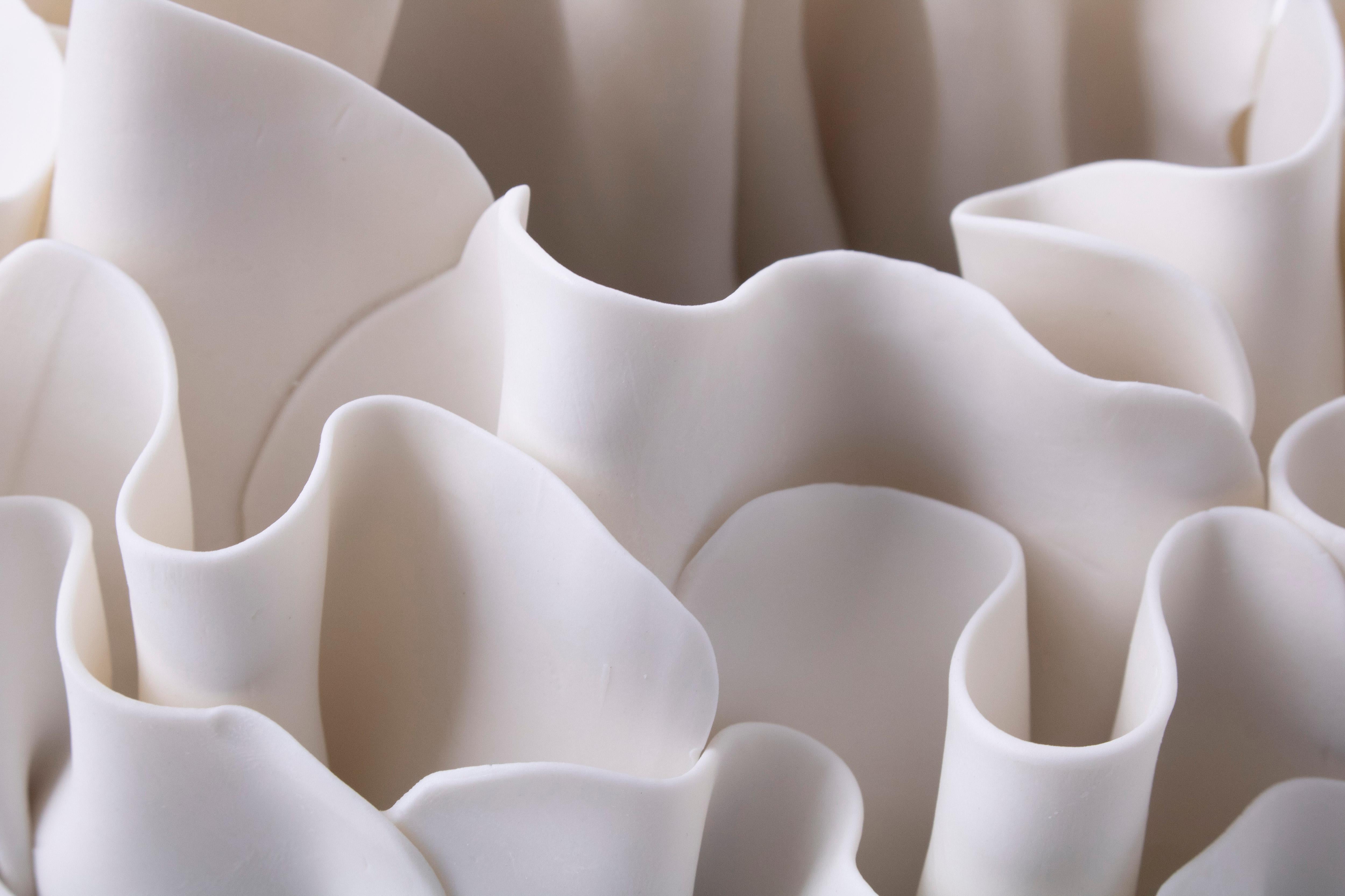 Animals simulating flowers tickled by the light flow of the water: a pure white porcelain bowl rises from these fascinations. Smooth layers of opalescent membranes meet the refined texture of madrepore for a delicate and mesmerizing look. The thin