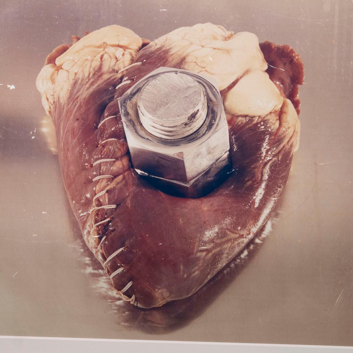 Brazilian Contemporary Postmodern C-Print Photograph For Sale