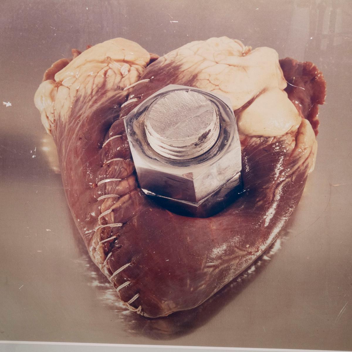 Contemporary Postmodern C-Print Photograph For Sale 1
