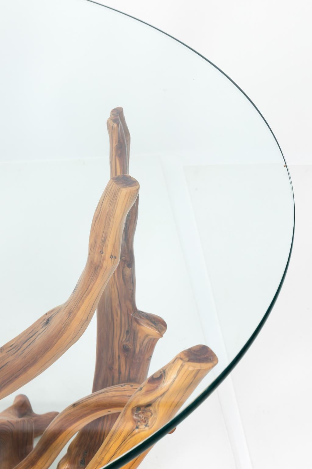 Glass Contemporary Root Center Table by Lee Kern