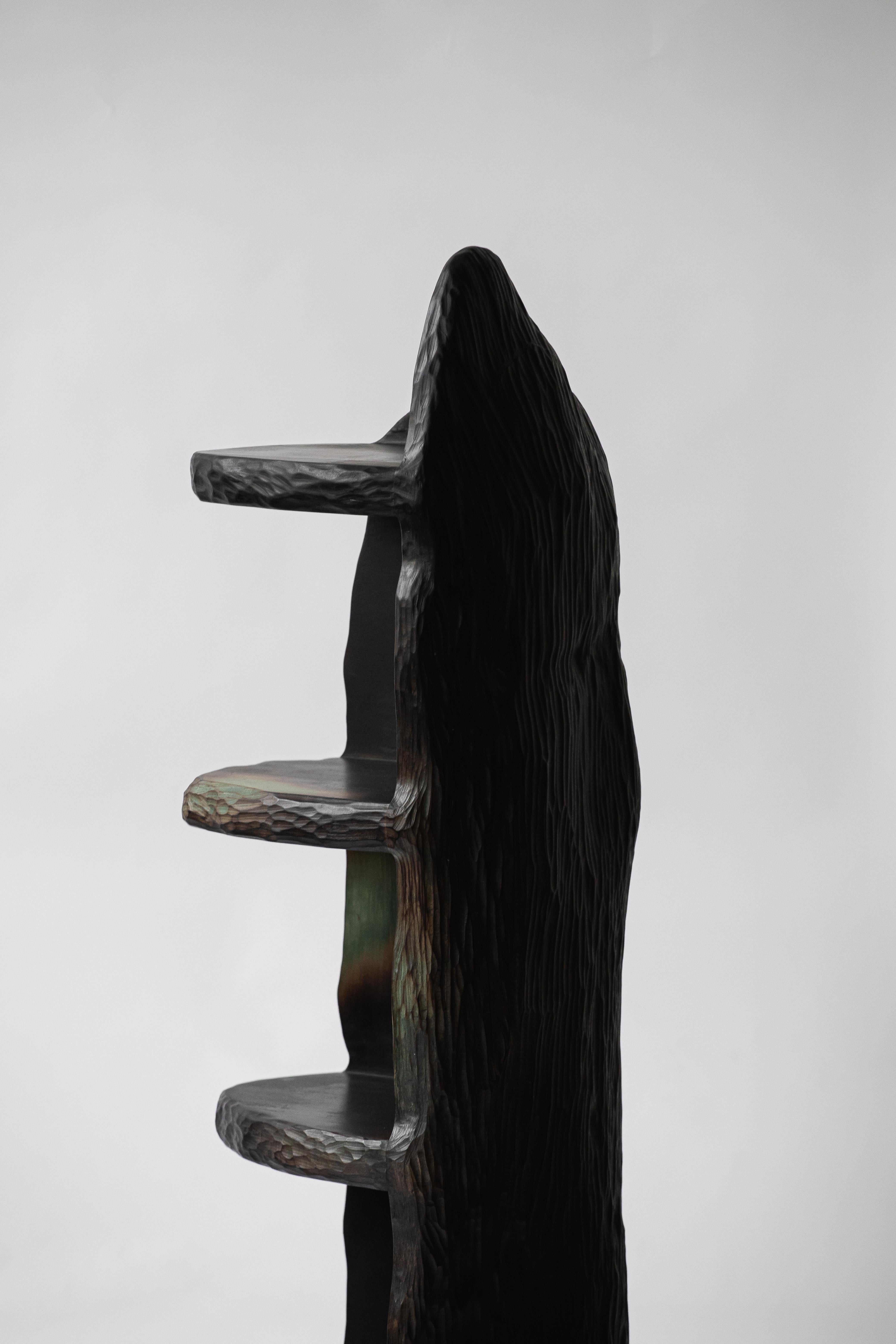 Contemporary sculpted wood dyed INTUITIVE ARCHAISME Shelf by Cedric Breisacher For Sale 1