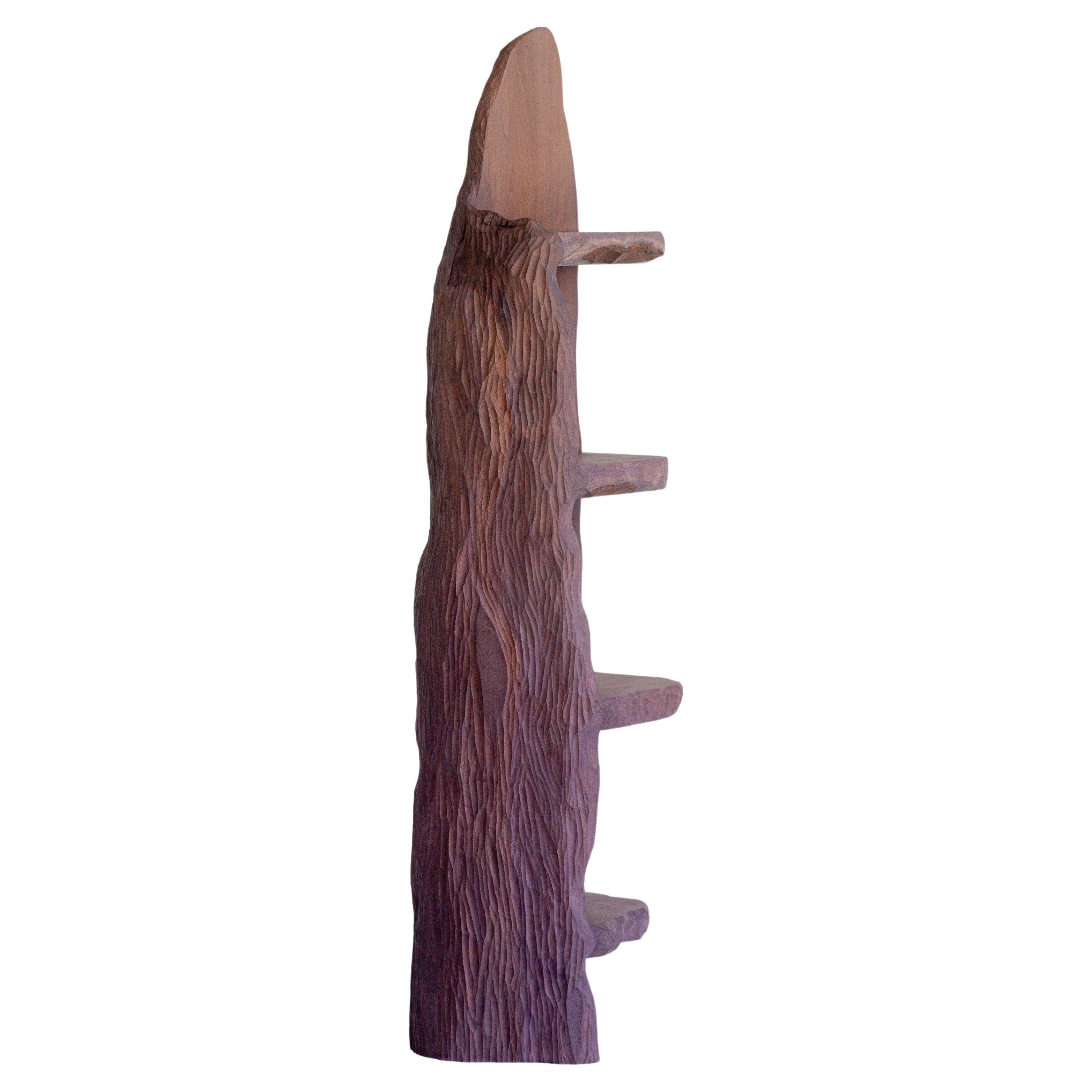 Contemporary sculpted wood dyed INTUITIVE ARCHAISME Shelf by Cedric Breisacher For Sale