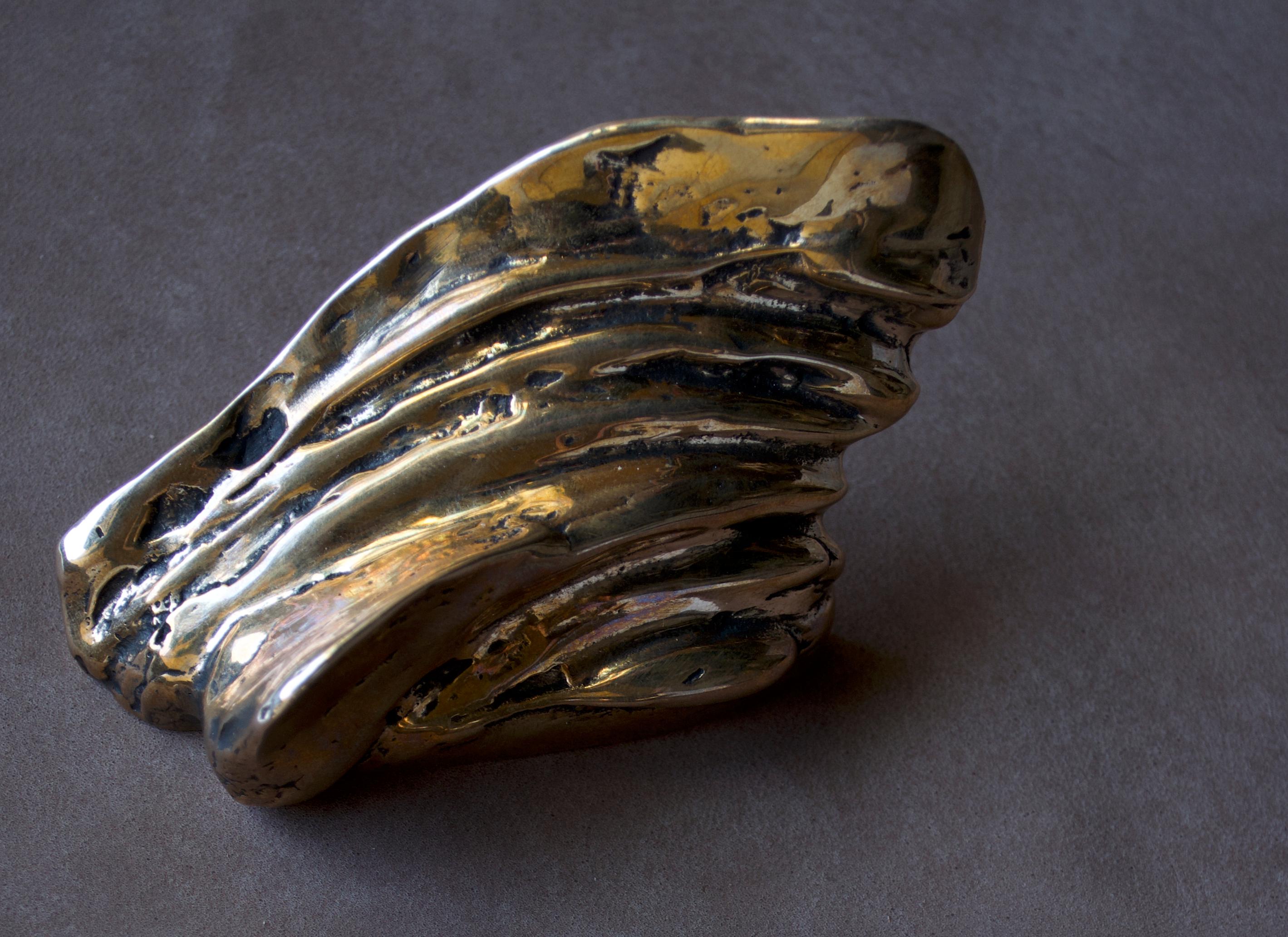 Small shiny sculpture that evokes vegetal and marine forms, smooth to the touch and made in bronze casting, according to the ancient technique of French sand molds. This handles are a sculptural touch for closets, doors or drawers.