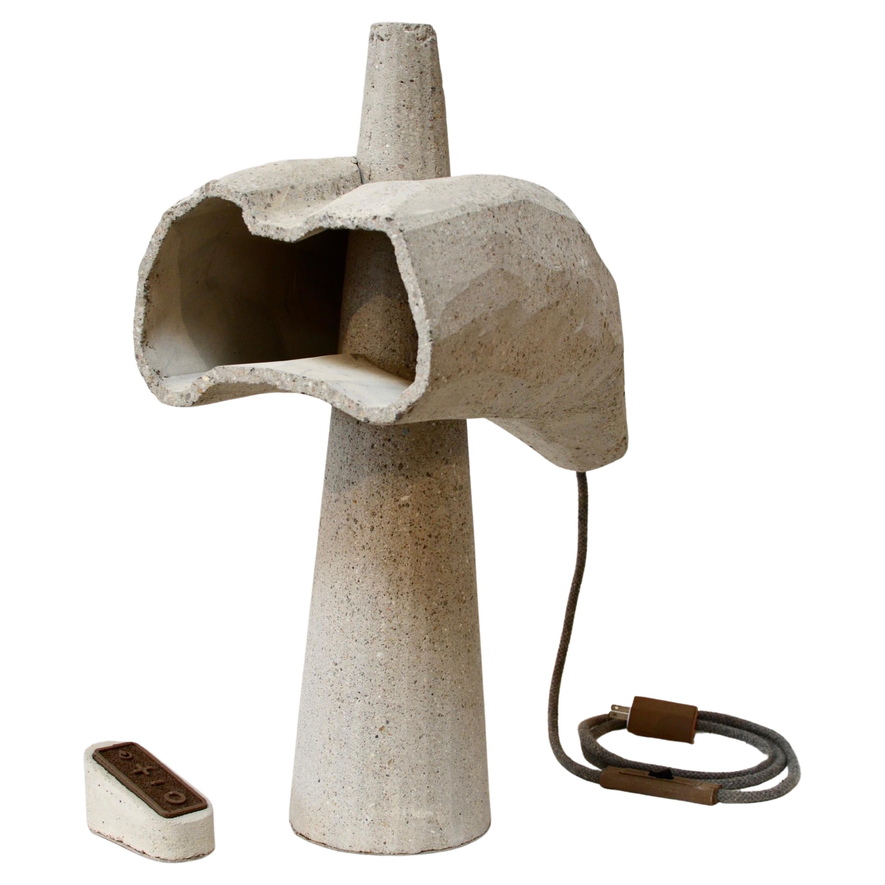Lampe contemporaine sculpturale en béton durable par A James Haywood en vente