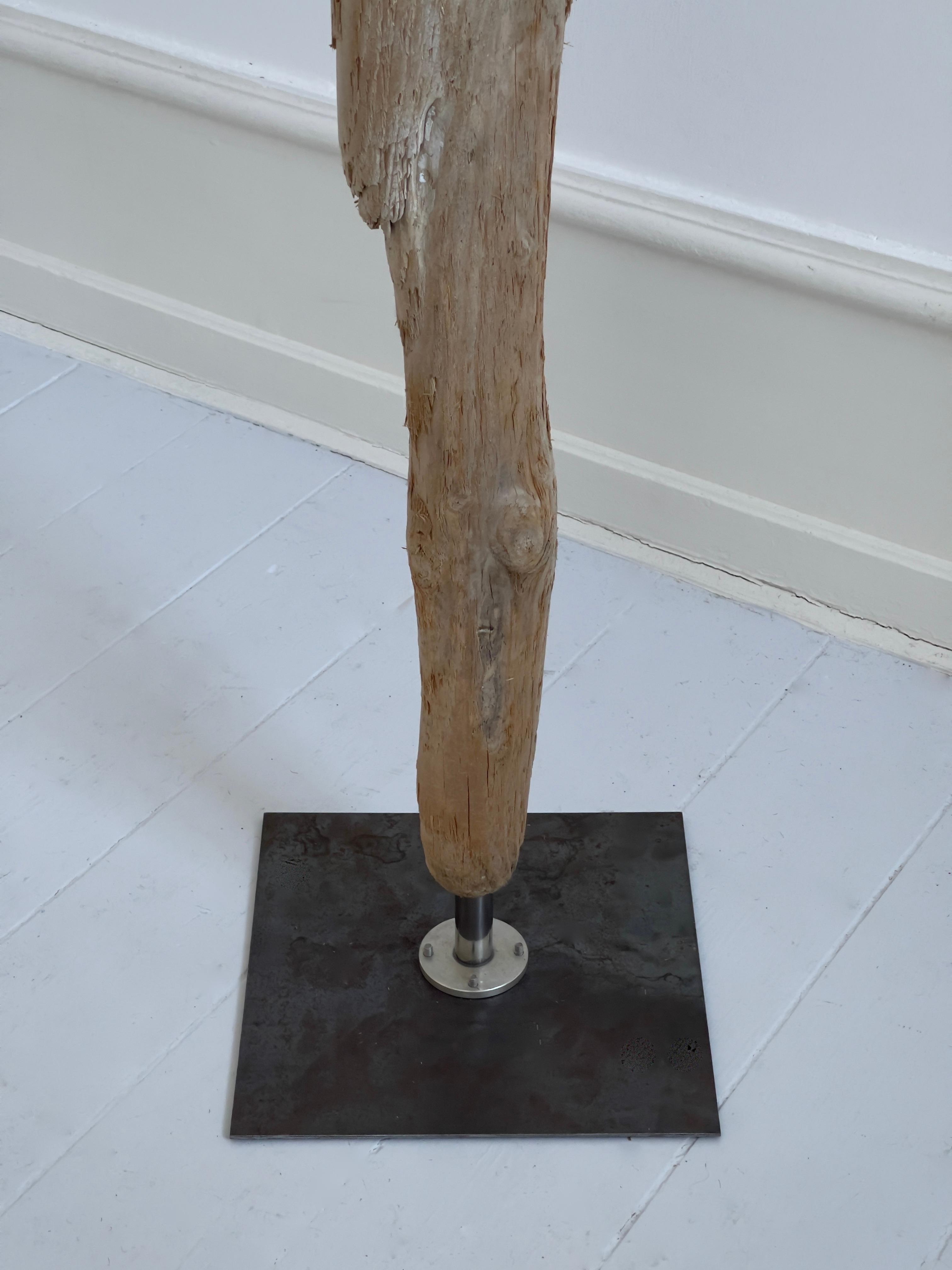  Unique Human Size Decor of a Drift Timber Sculpture on Metal Stand. For Sale 5